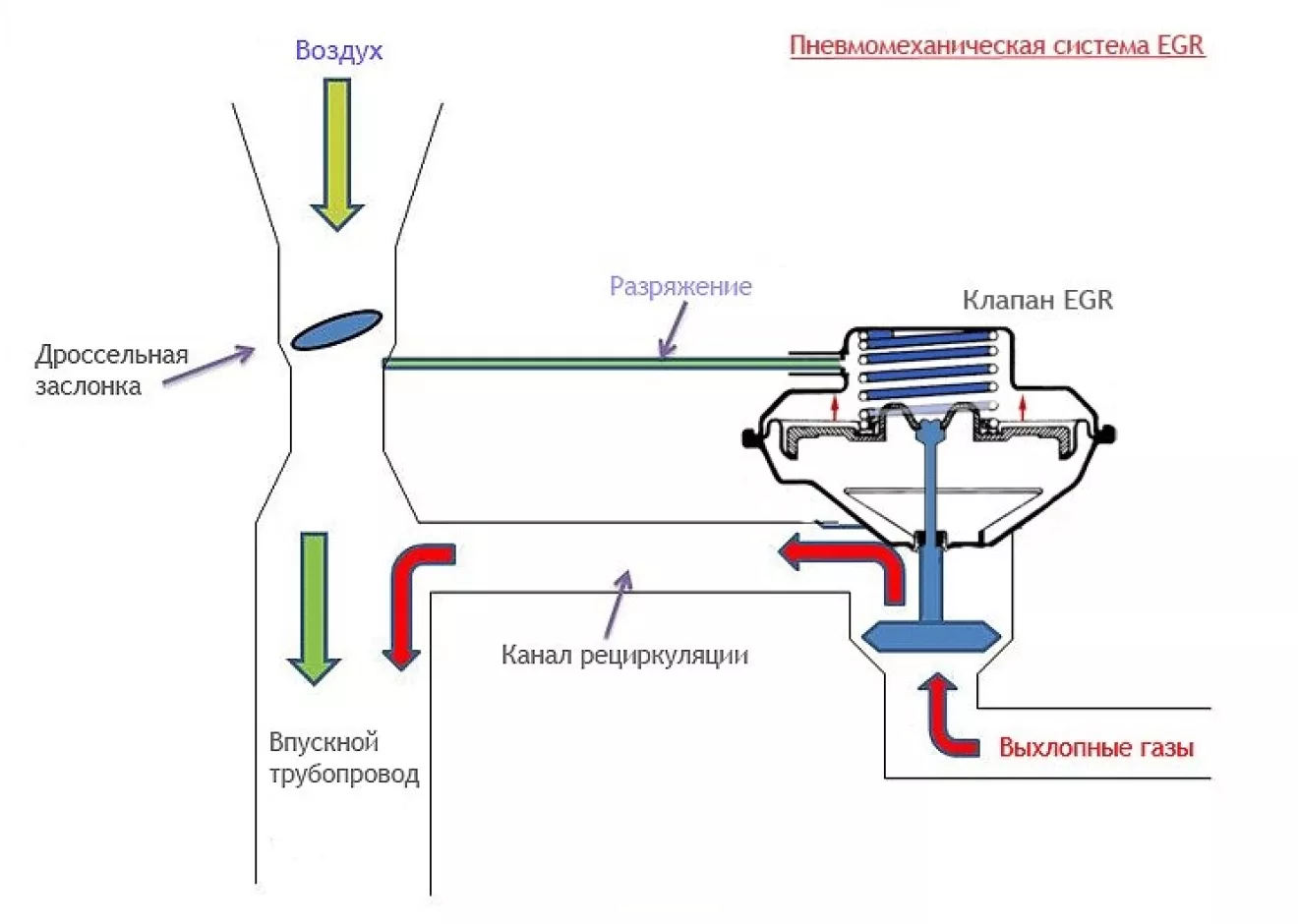 EGR / Что, как и зачем?! | DRIVER.TOP - Українська спільнота водіїв та  автомобілів.