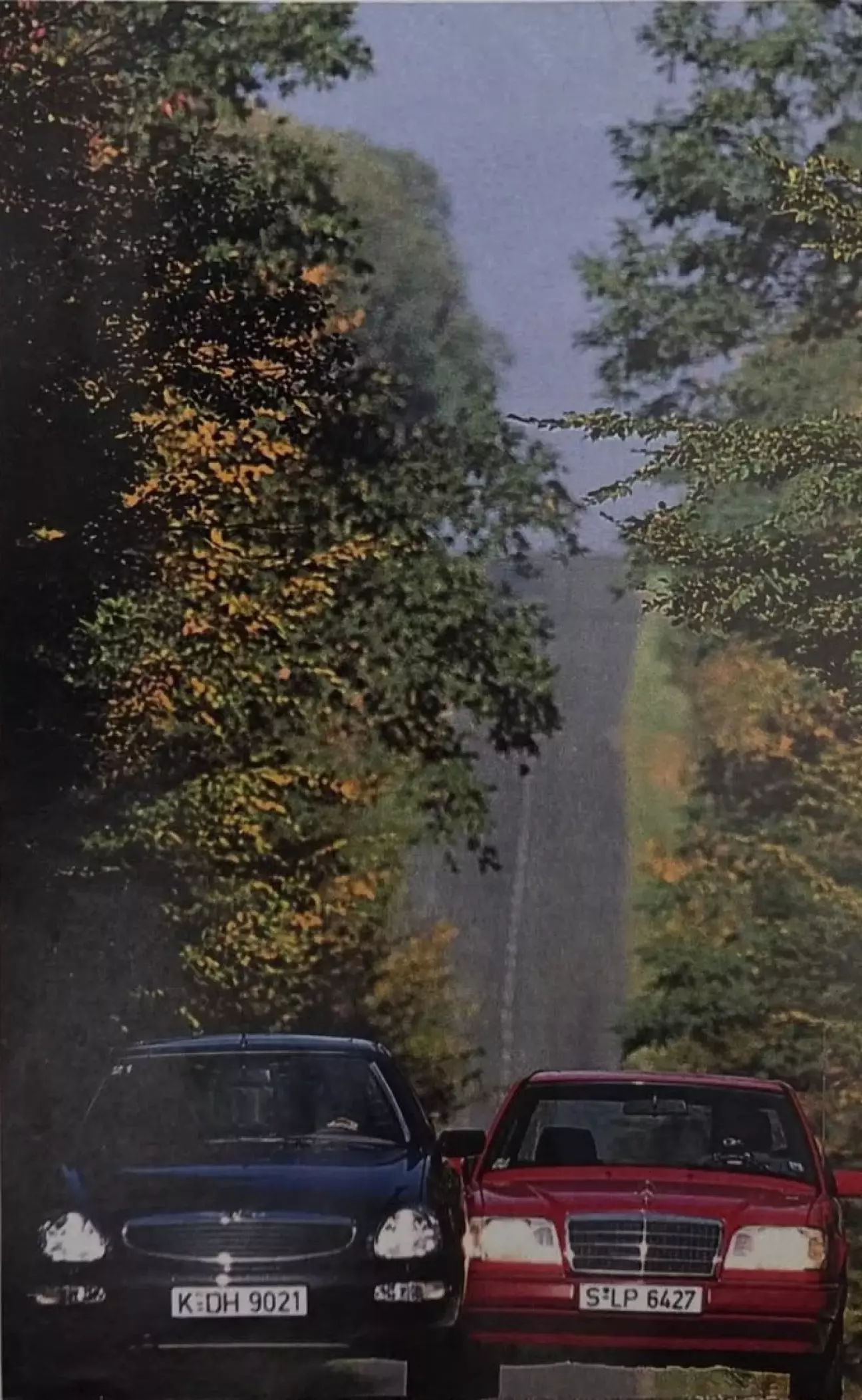 Два облика, которые невозможно перепутать