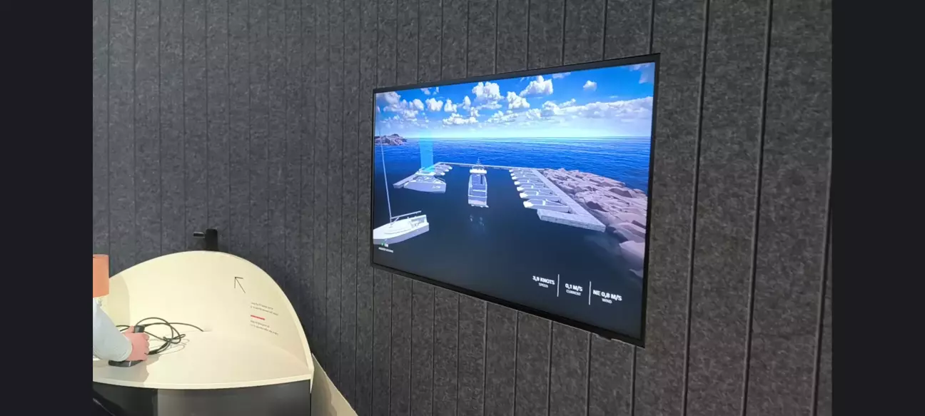 Певно, це демонстрація технологій, які допомагають автоматичному паркуванню.. Можу помилятися