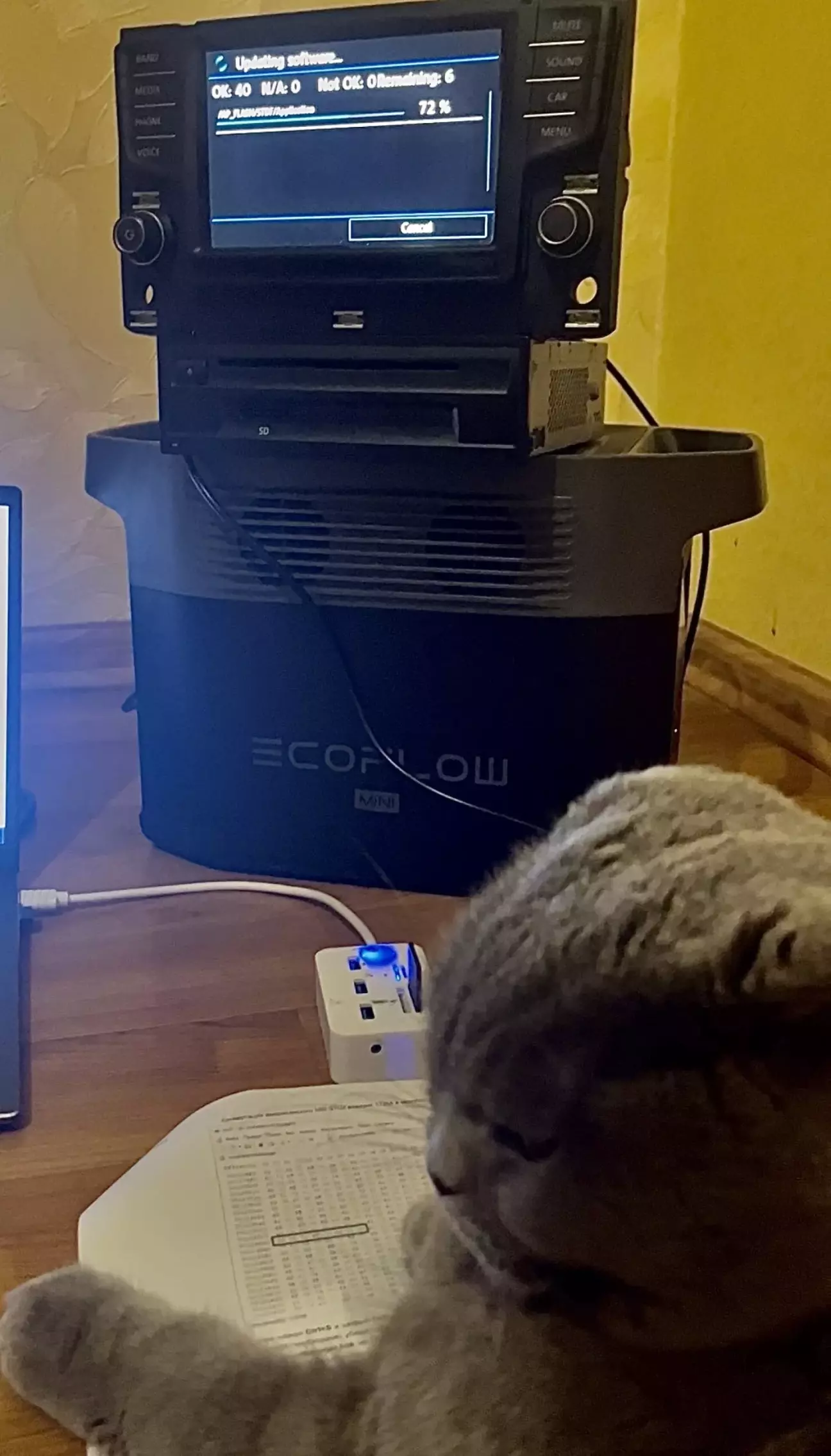 Тут без волохатого помічника ніяк😁