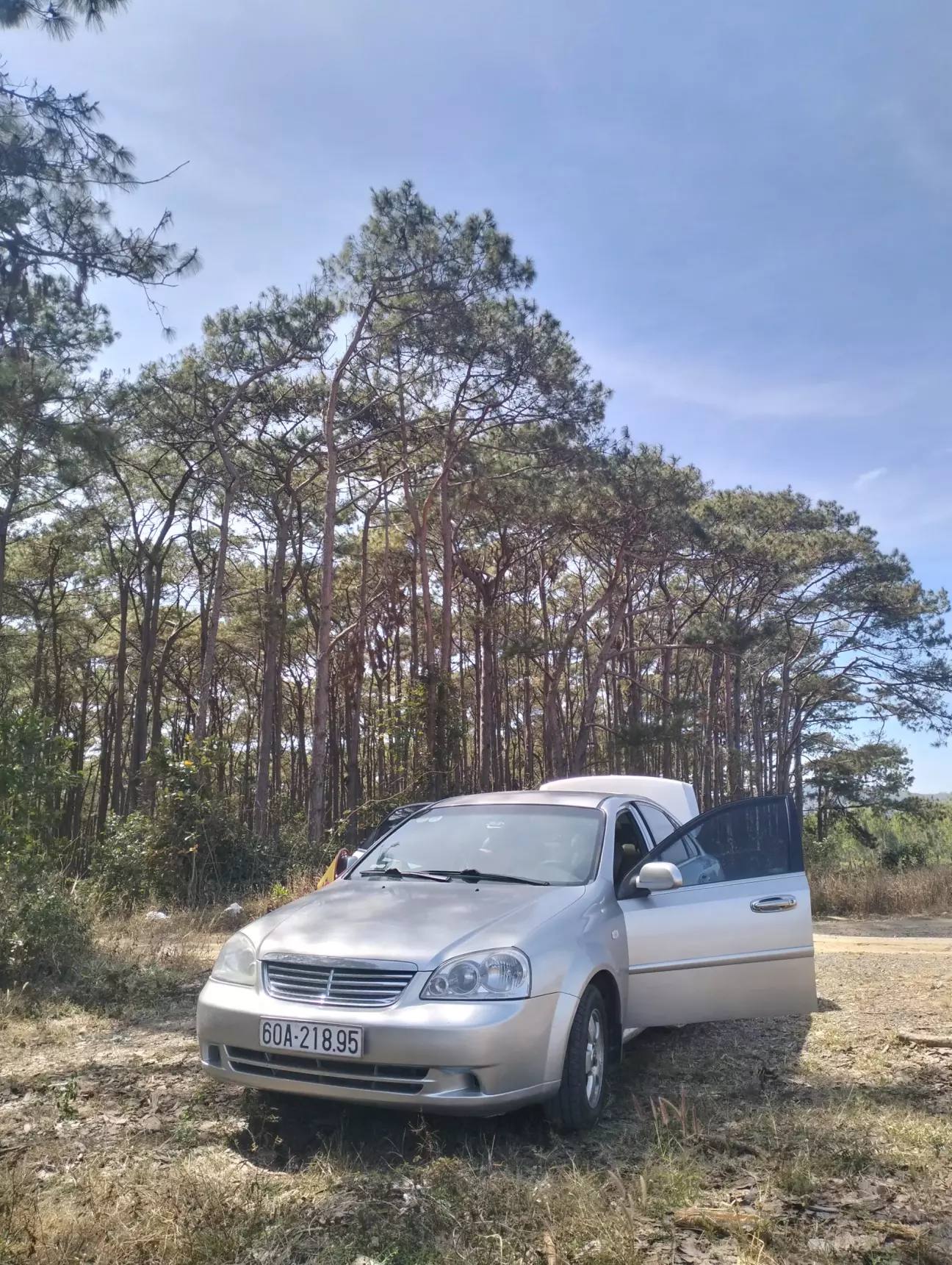 Мій лачікен ін зе мідл оф ноуве