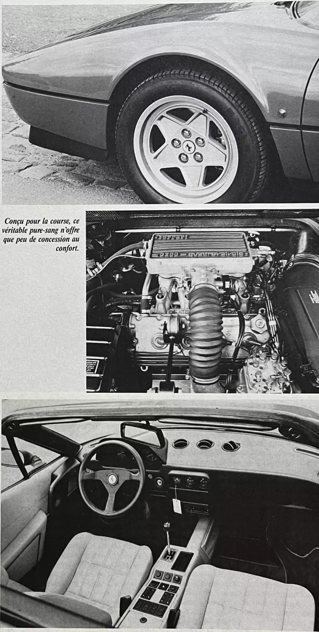 Созданный для гонок, этот истинный чистокровный скакун почти не делает уступок комфорту.