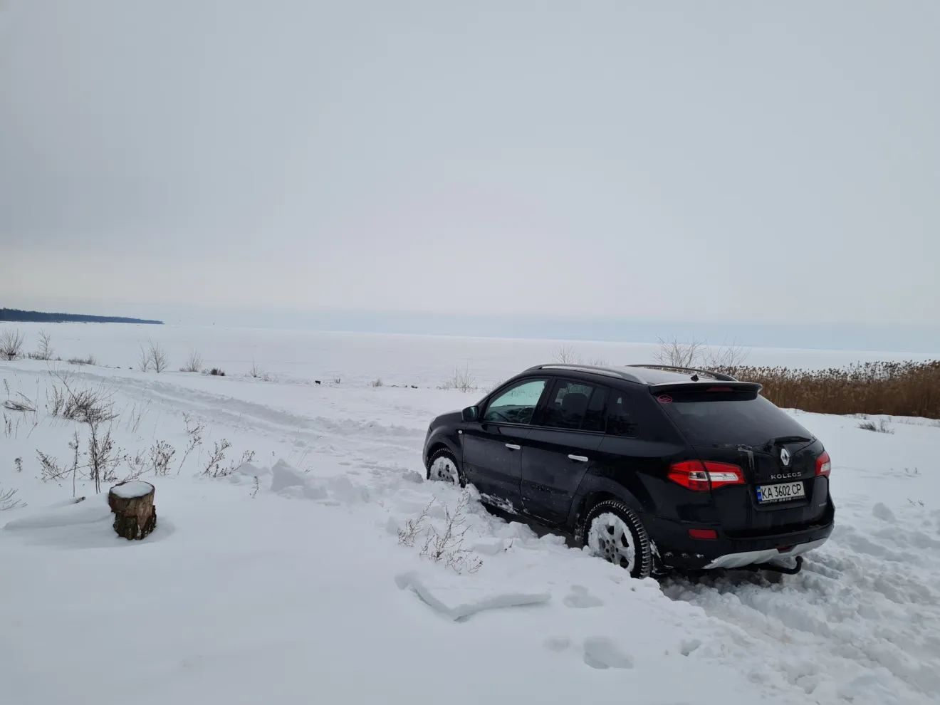 Renault Koleos (1G) 06. Замена ламп в биксеноне. | DRIVER.TOP - Українська  спільнота водіїв та автомобілів.