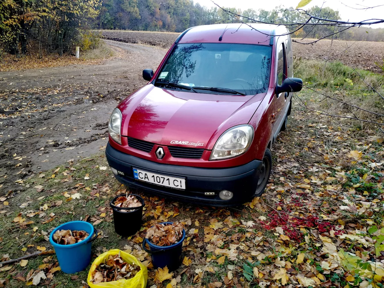 Renault Kangoo (1G) =Решение=Горит предохранитель управление питанием  двигателя или как не стоять ночью на трассе ? | DRIVER.TOP - Українська  спільнота водіїв та автомобілів.