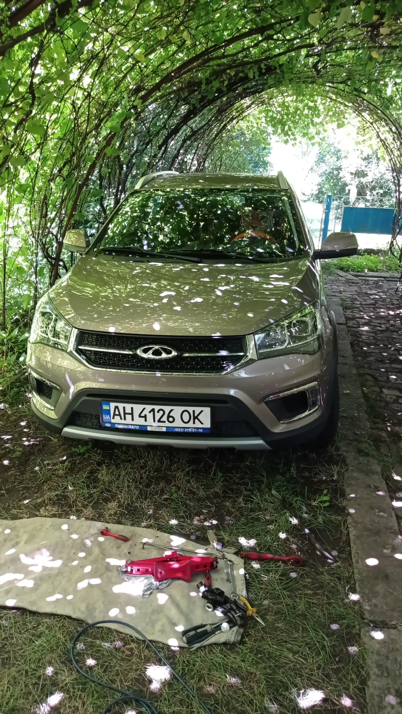 Chery Tiggo 2 Сетка в решетку радиатора Chery Tiggo 2 | DRIVER.TOP -  Українська спільнота водіїв та автомобілів.