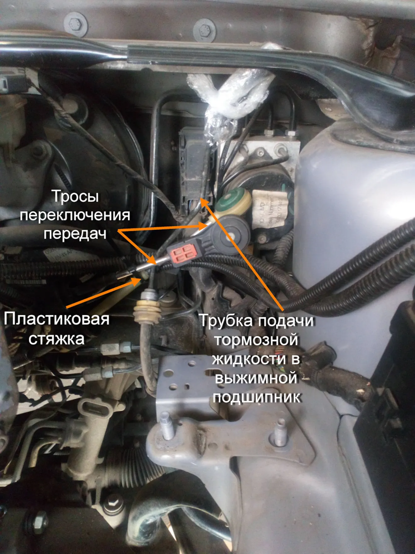 Ford Kuga (1G) Замена сцепления и выжимного подшипника Ford Kuga 1 (1-я  часть). Подготовка. | DRIVER.TOP - Українська спільнота водіїв та  автомобілів.