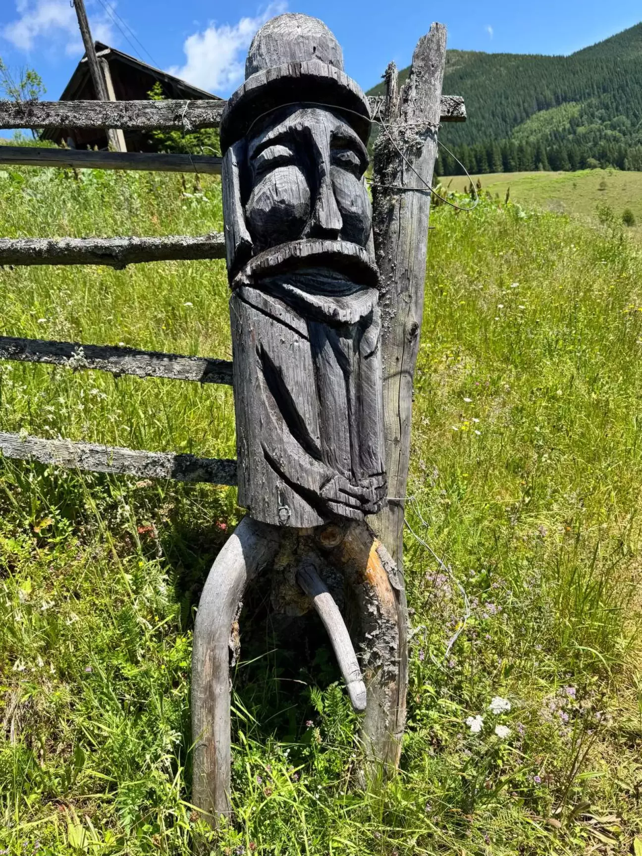 Карпатський колорит