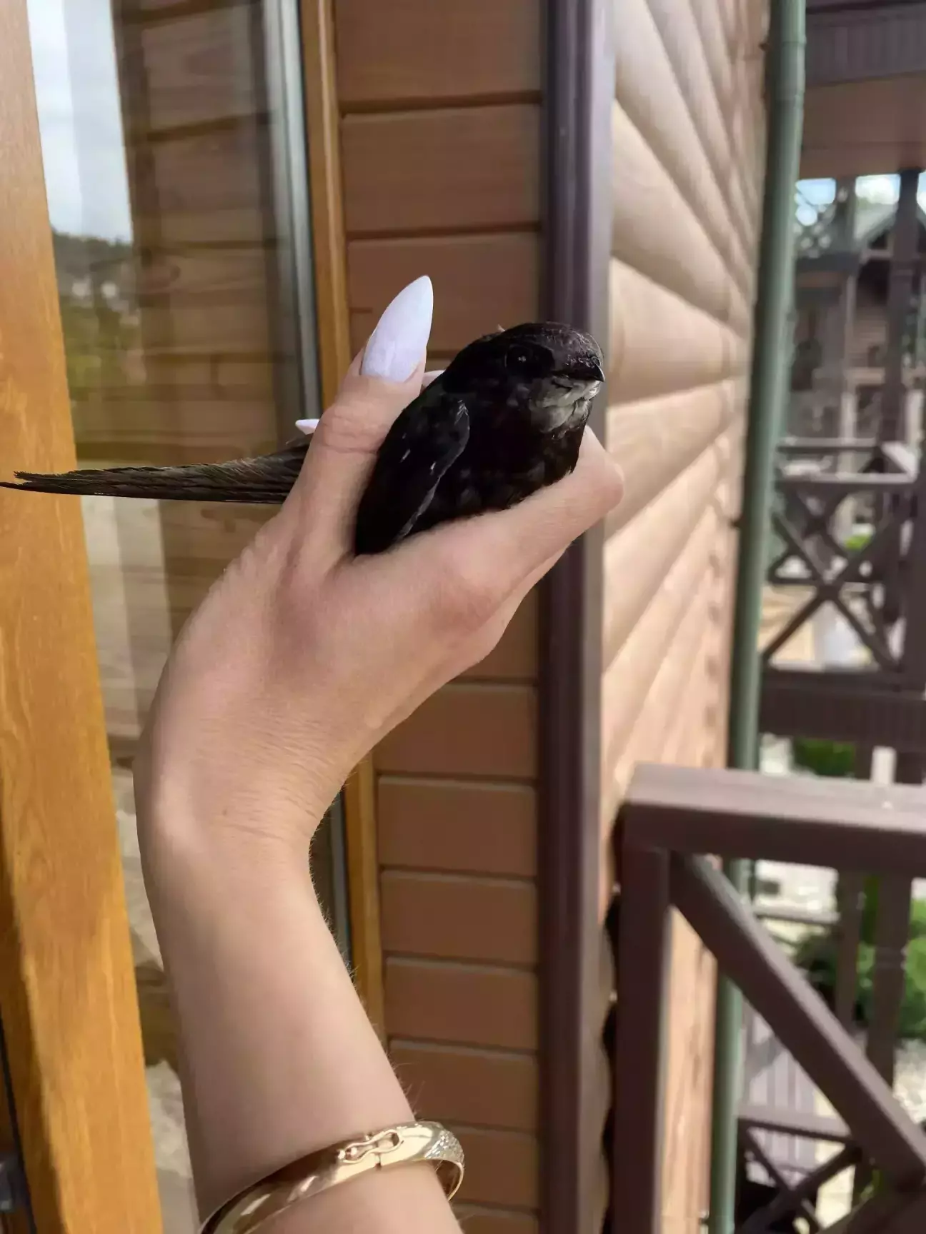 Мій серпик також бачив Буковель 🤗😍