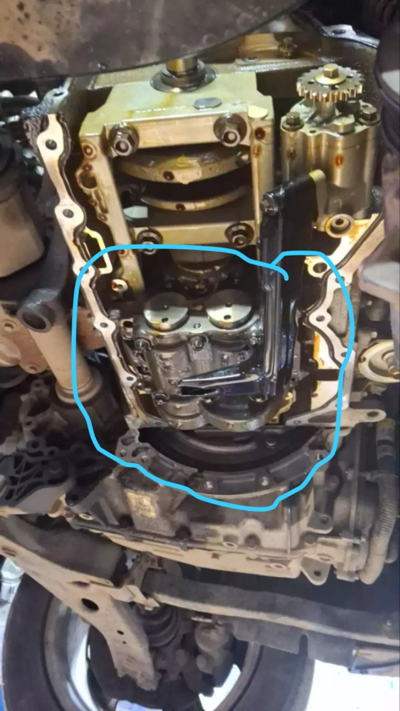 Зняття піддону та загальний вигляд знизу