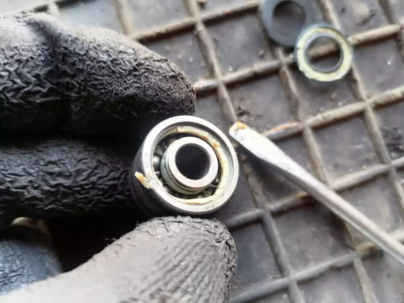 Задній підшипник NTN із залишками мастила, але воно вже сухе. Того і шум
