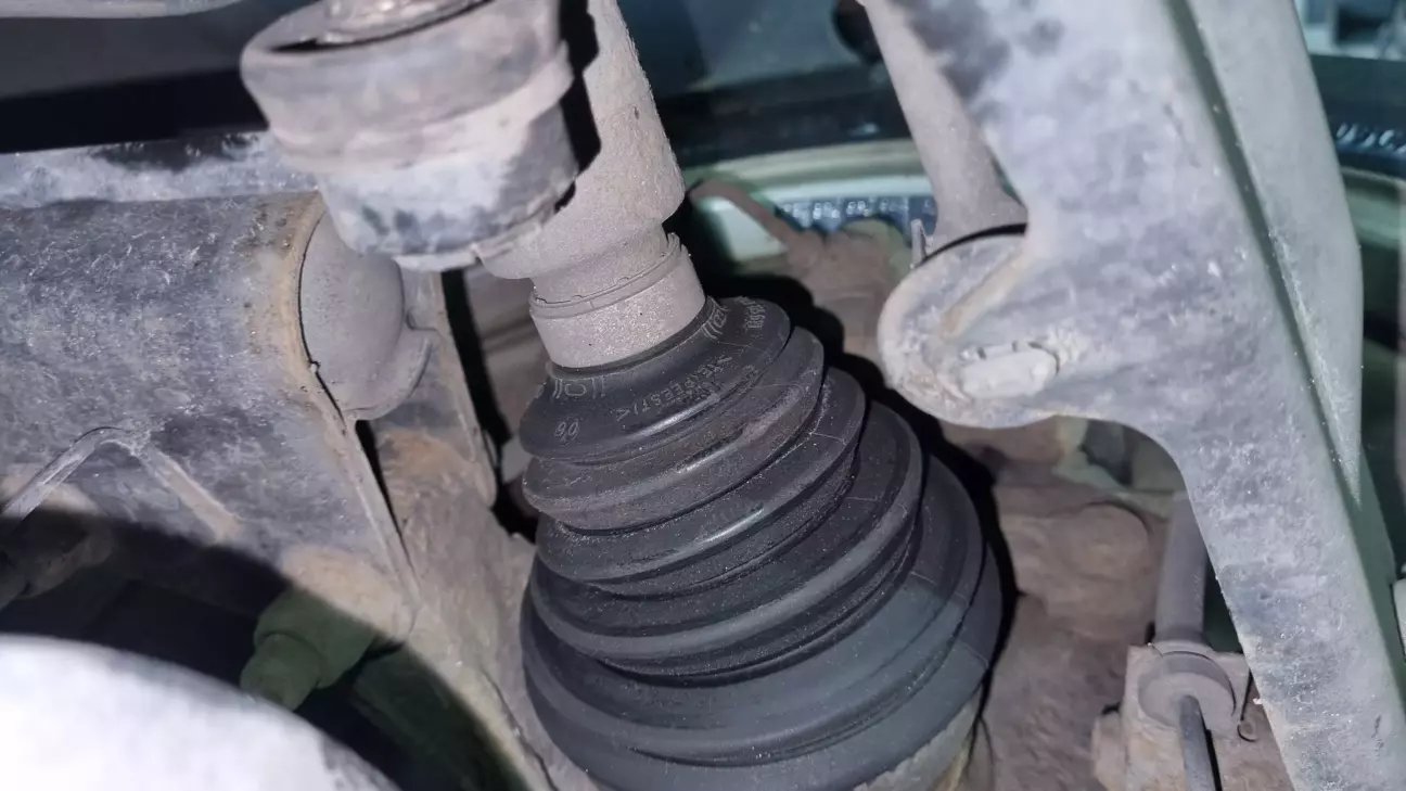 Для порівняння - правильний пильовичок, що стоїть ліворуч