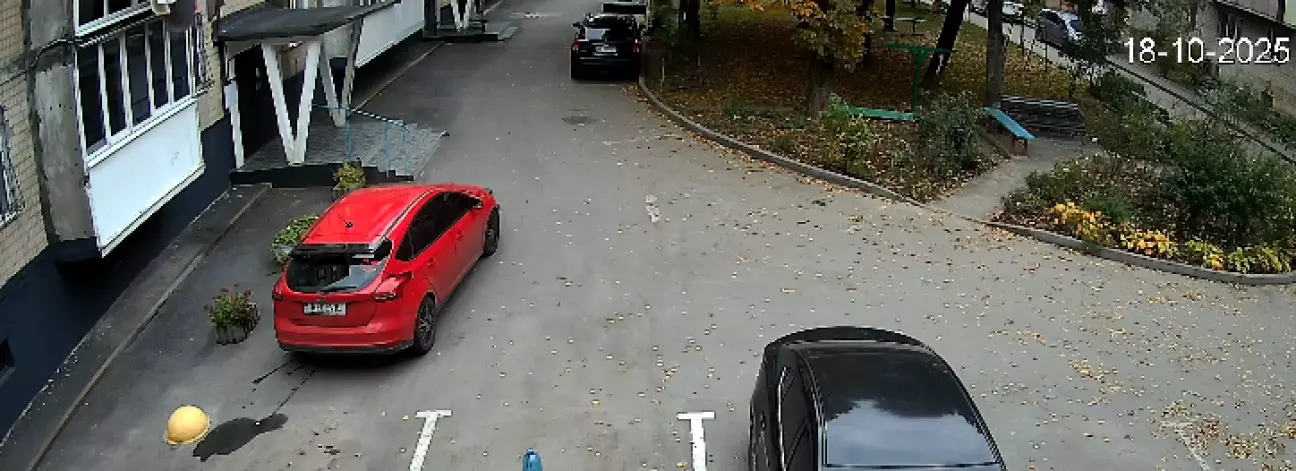 Територію мітили регулярно, цілий тиждень! Щоб знали, хто в будинку папа 😂