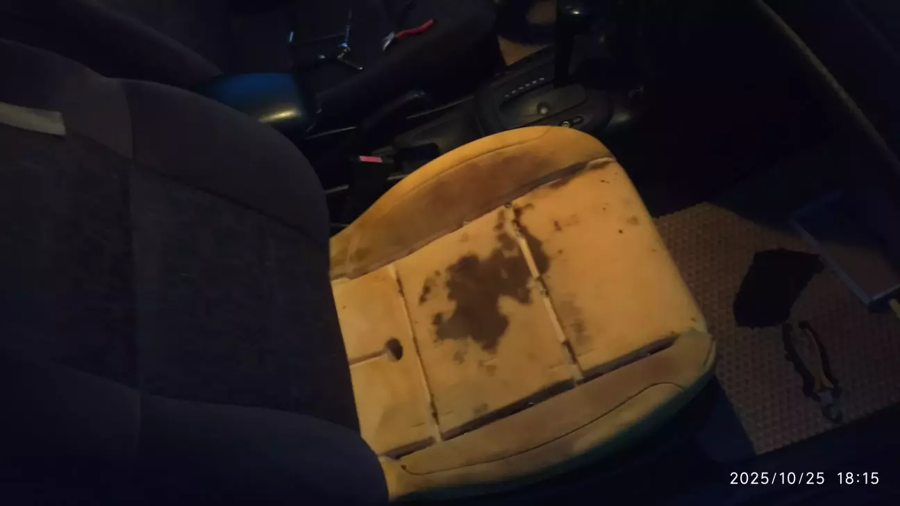 Снимаем велюр, стираем (желательно раз снят)