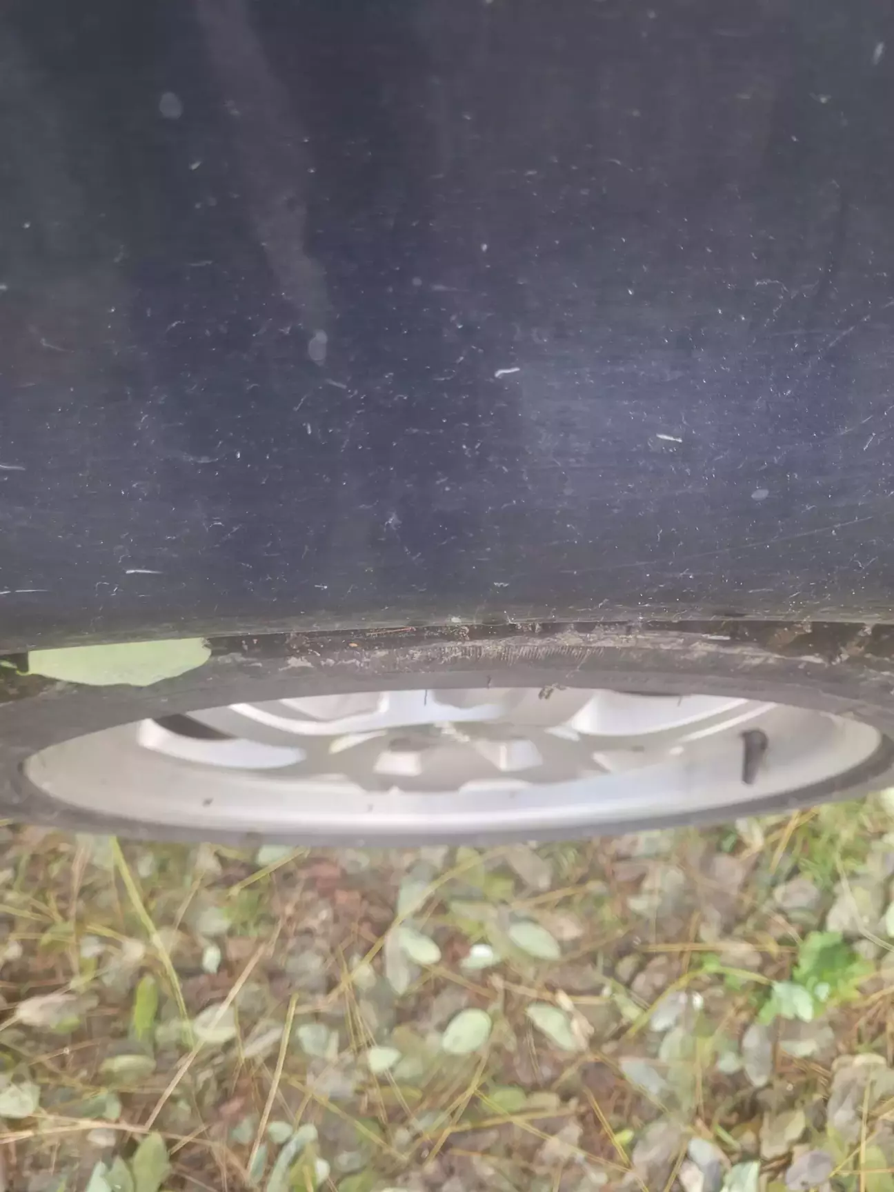 На трохи завантаженому (три пасажира позаду) вже видно краще