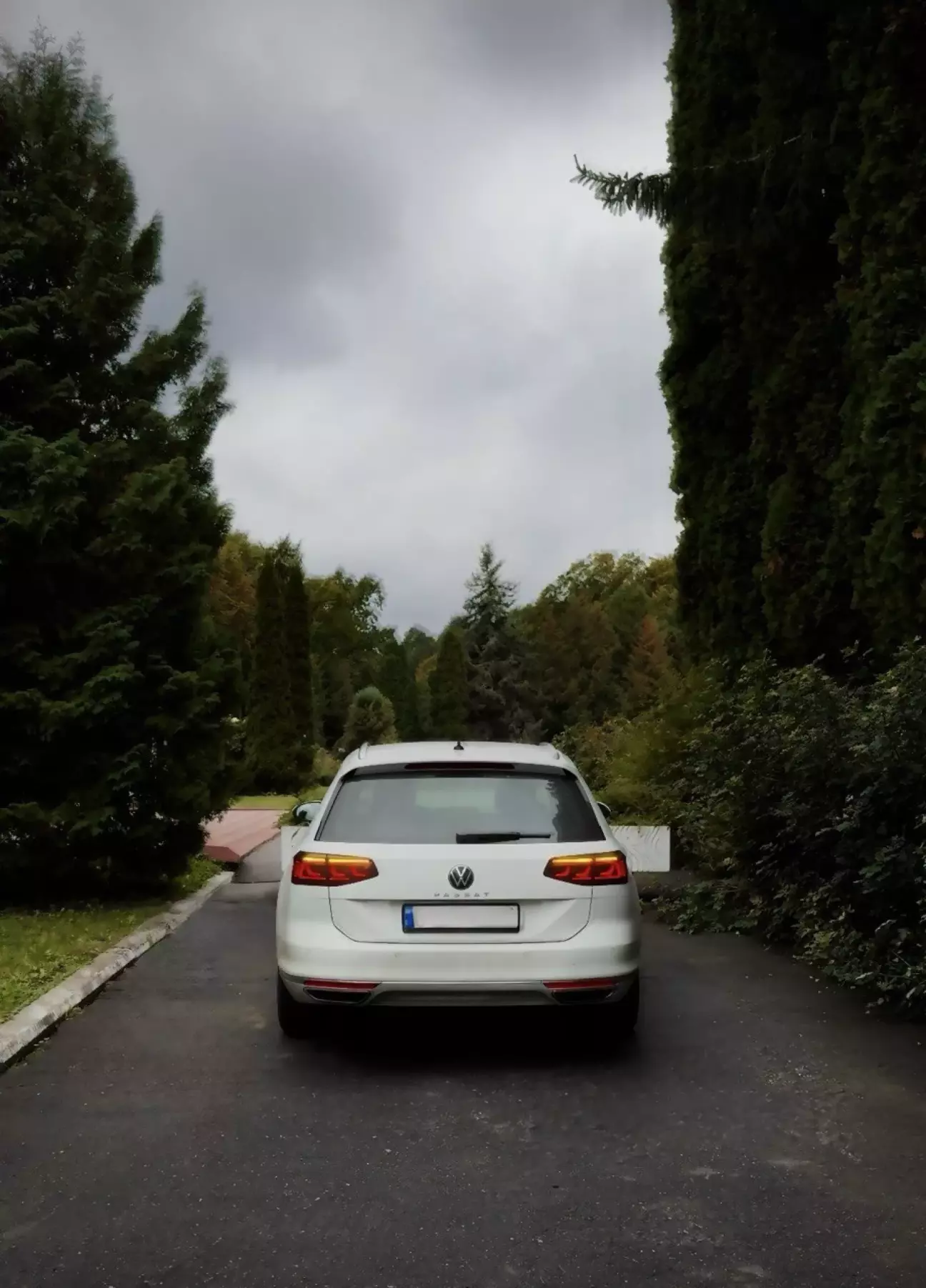 Корма з рідним, дорестовим бампером