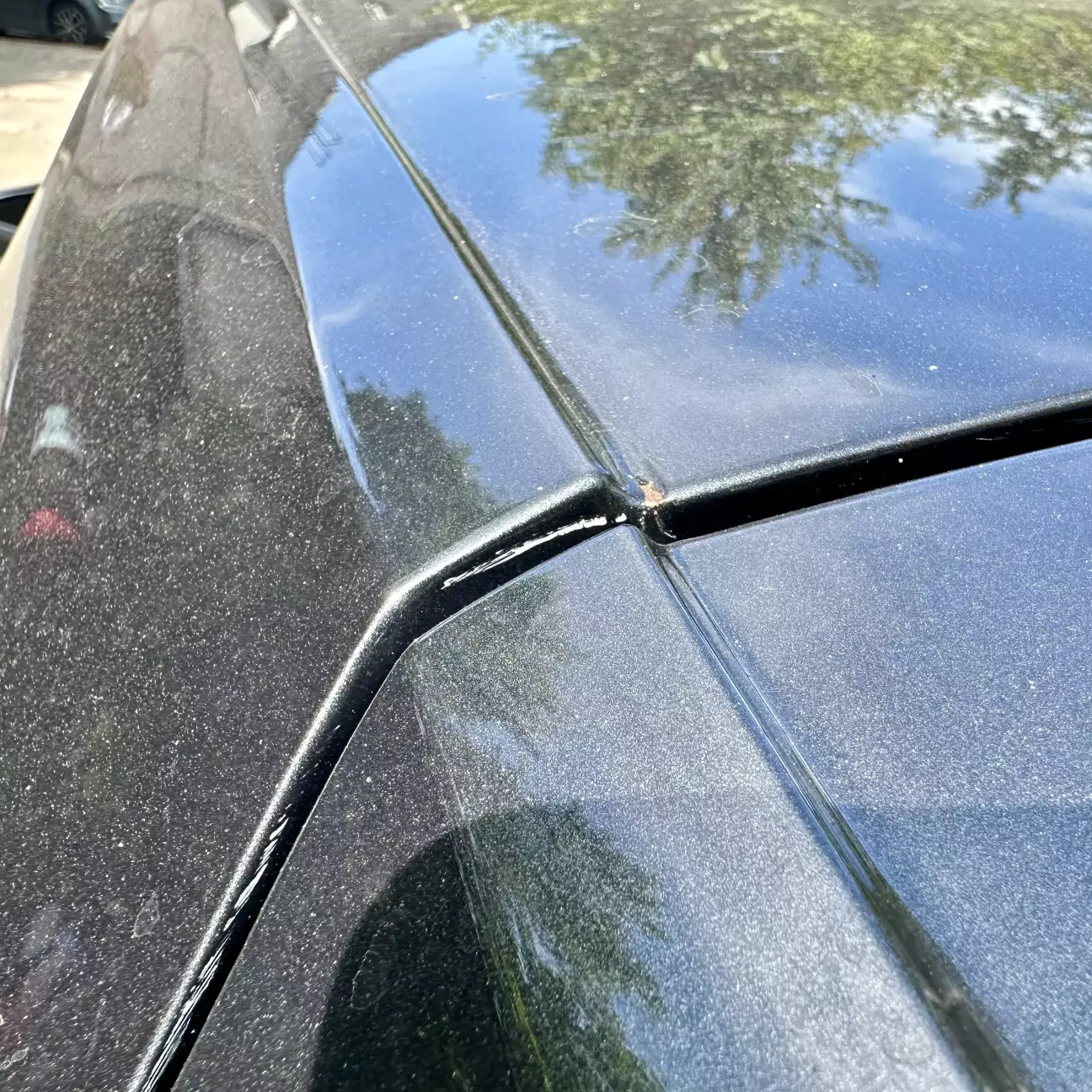 сколи та пошкодження