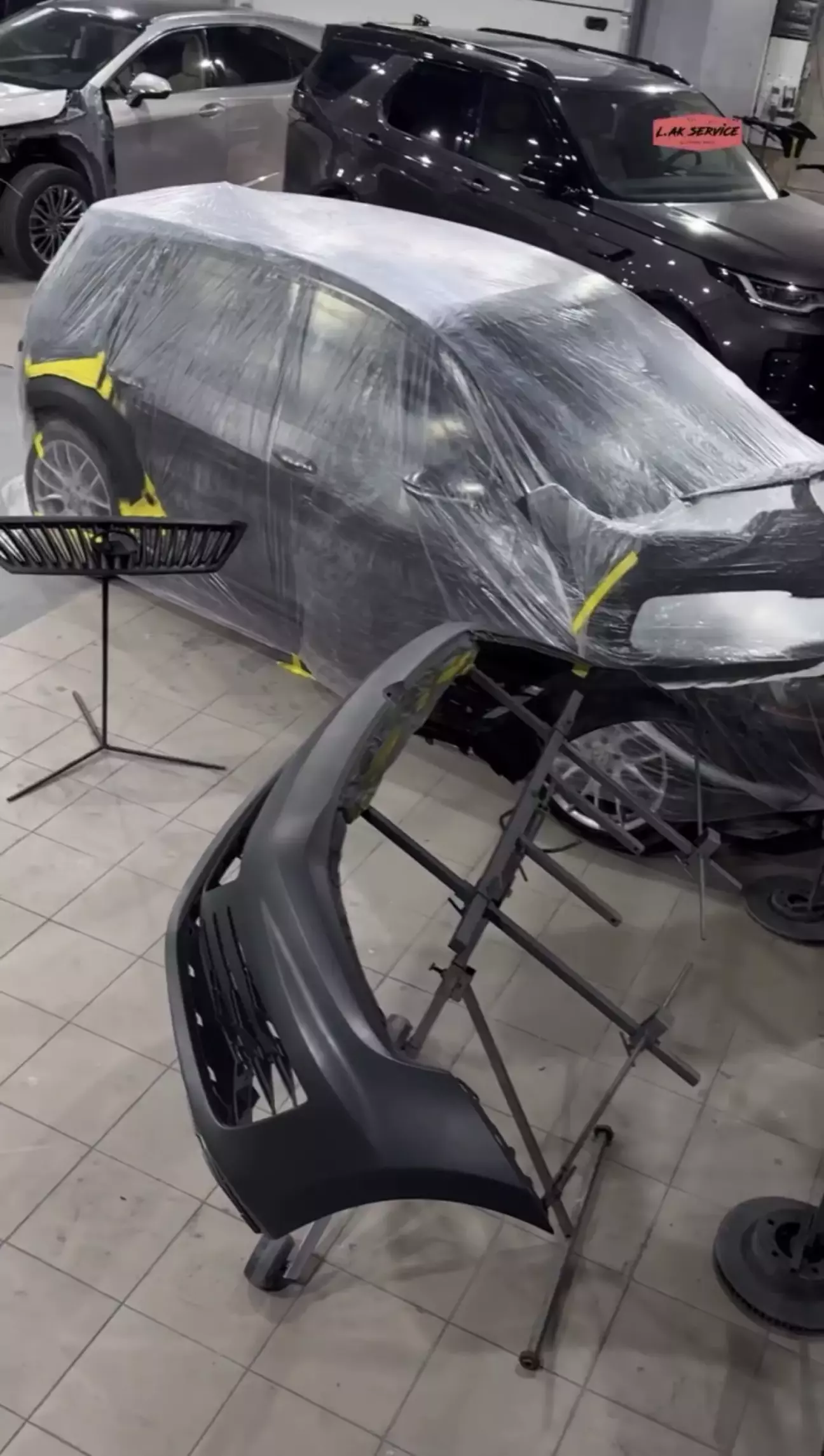 фото з відео малярки