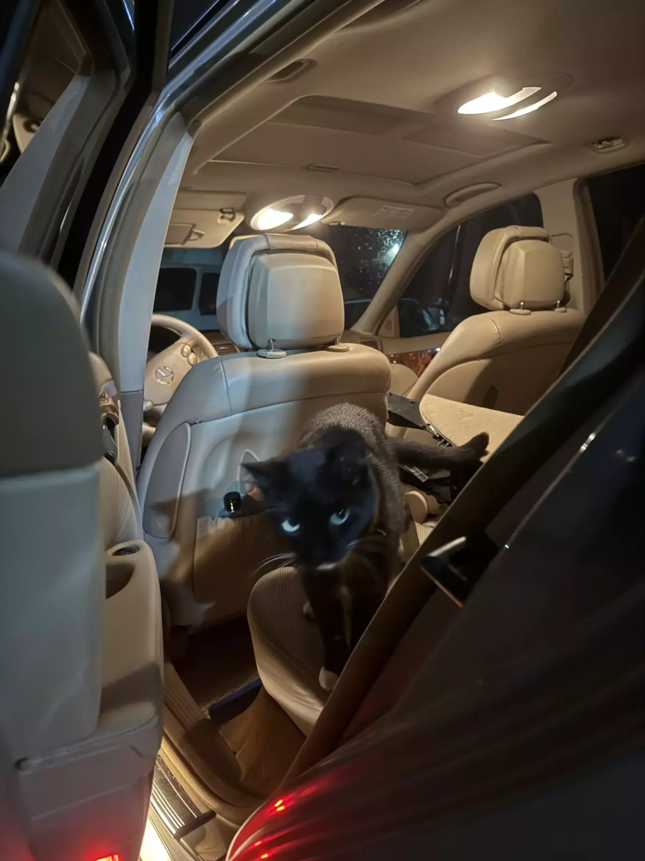 поки розбирались з селектором посадили охоронця в салон