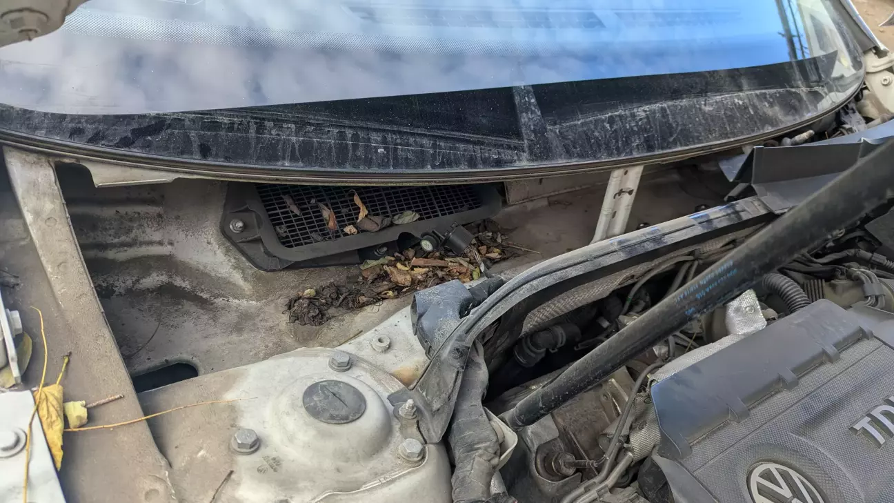 Трохи земельки, переважно німецької