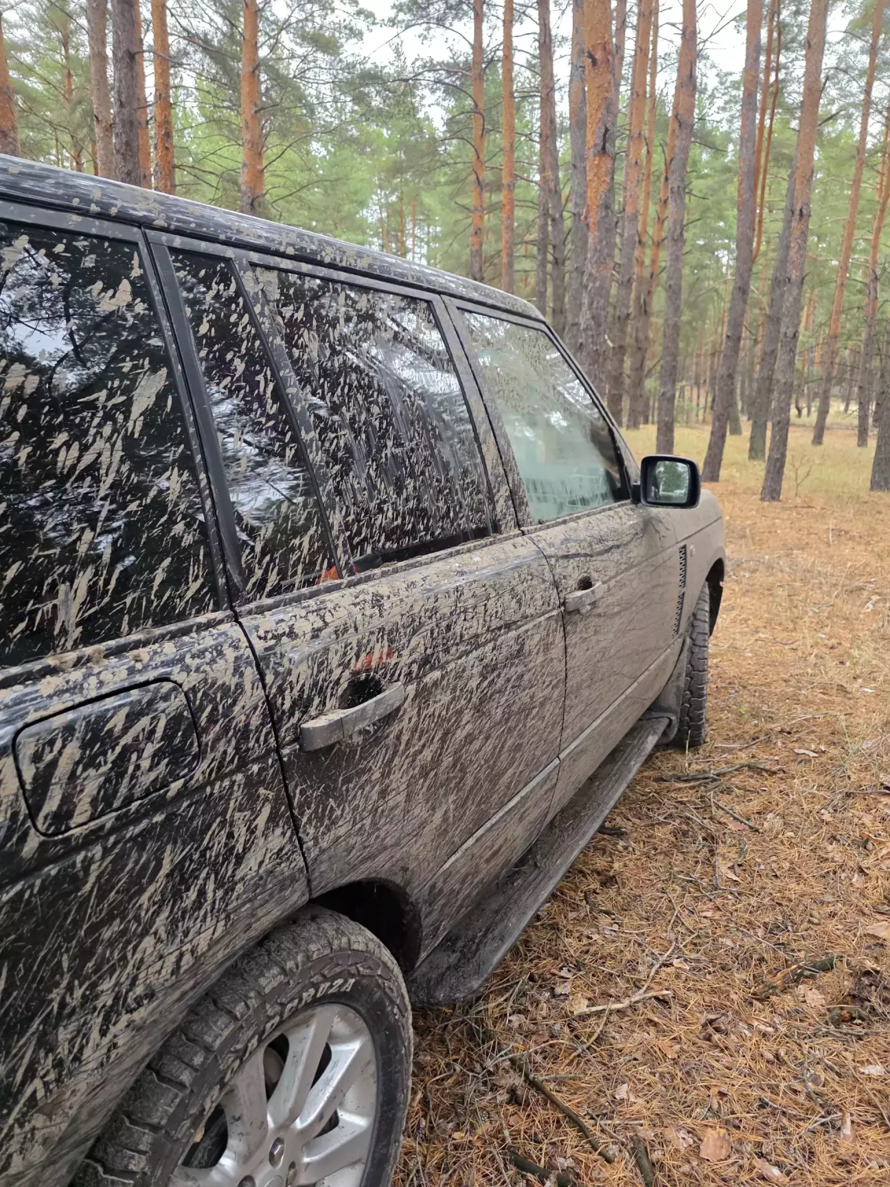 Сподівався що це захисне покриття збереже фарбу від дерев)