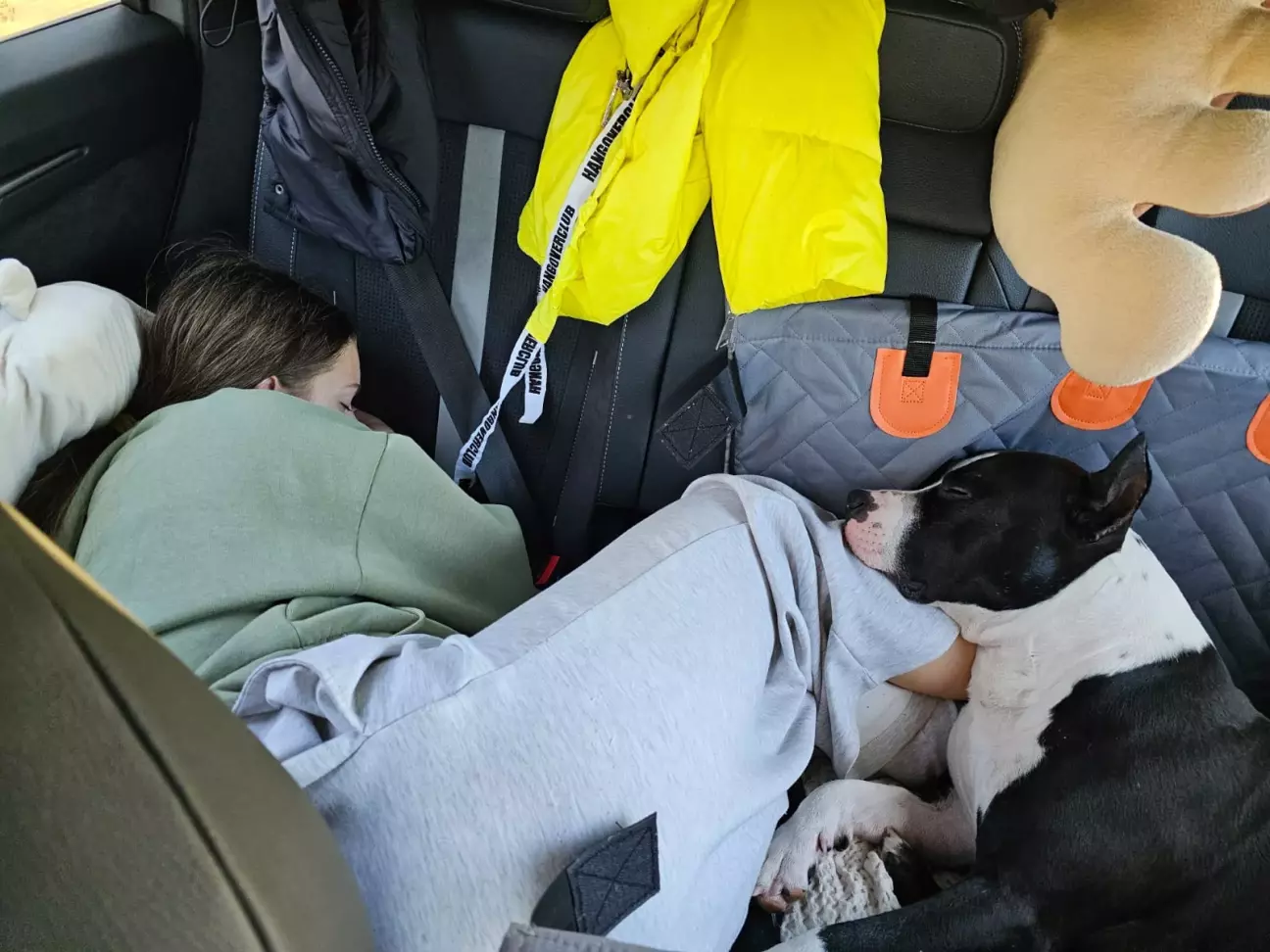 Дрихнуть молодшенька і любімий «страшний собака убійца»💚