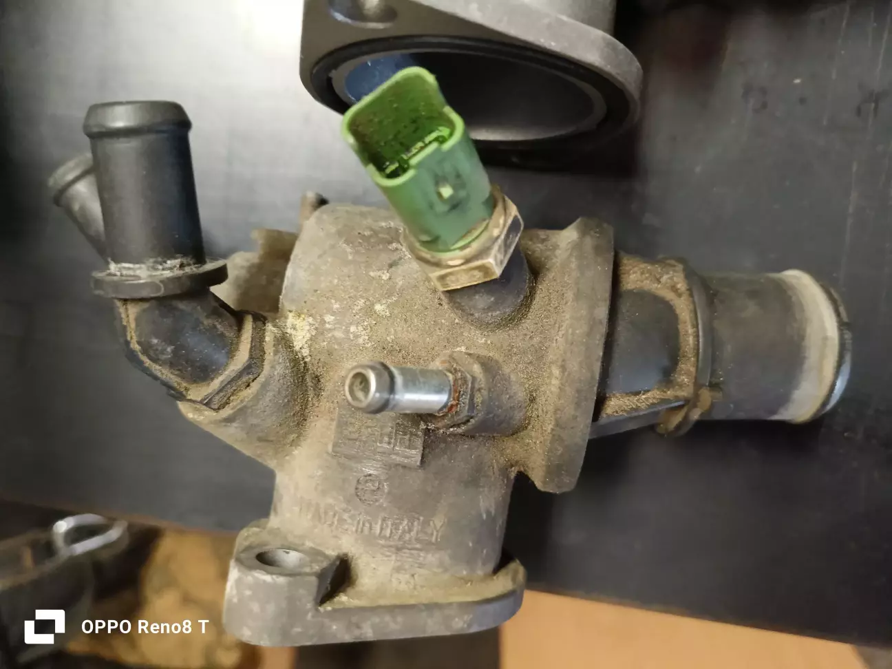 Рідний, з яким приїхала з німців)