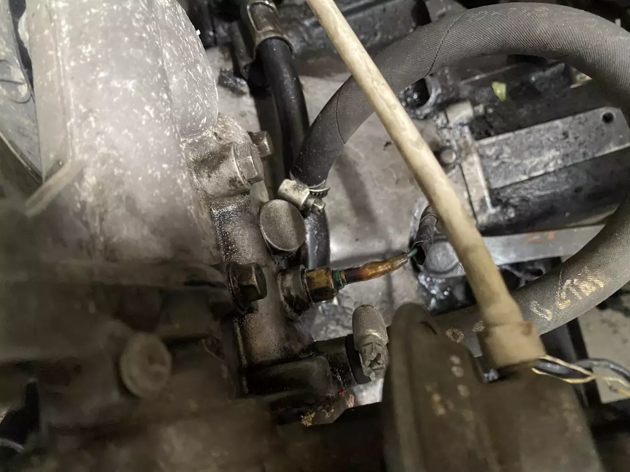 Від'єднуємо з корпусу термостату всі фішки і вакуум коректор