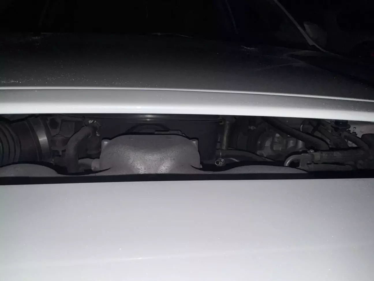 Без внутрішніх частин виглядає за відкрито - плюс зранку волога осідає і коли відкриваєш капот - все виливається причому на генератор)