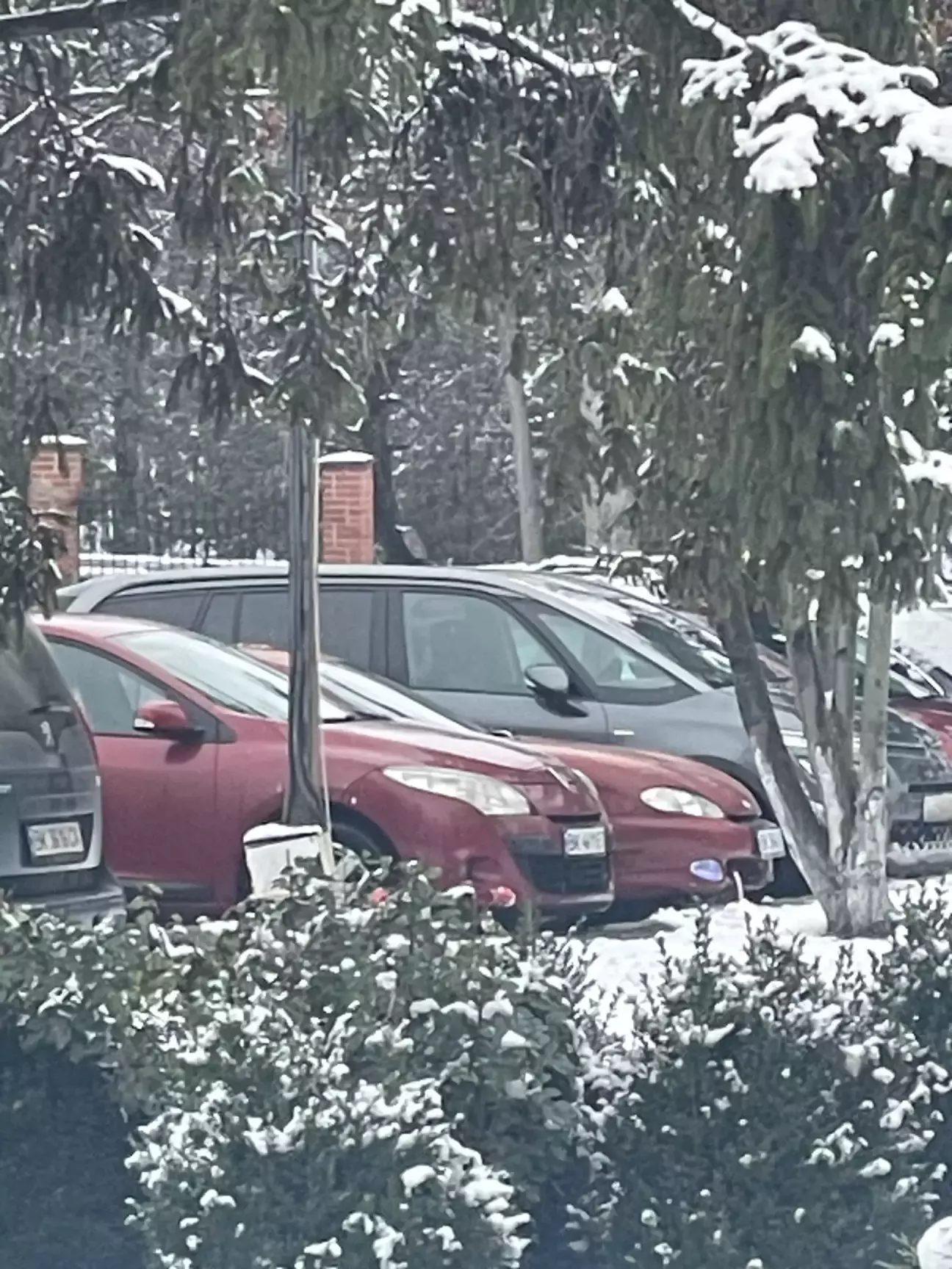 Пʼю каву і дивлюсь як поряд стала ще одна червона ракета на парковці.