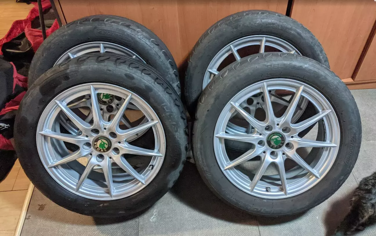 Літні Корморани сохнуть та готуються до зберігання