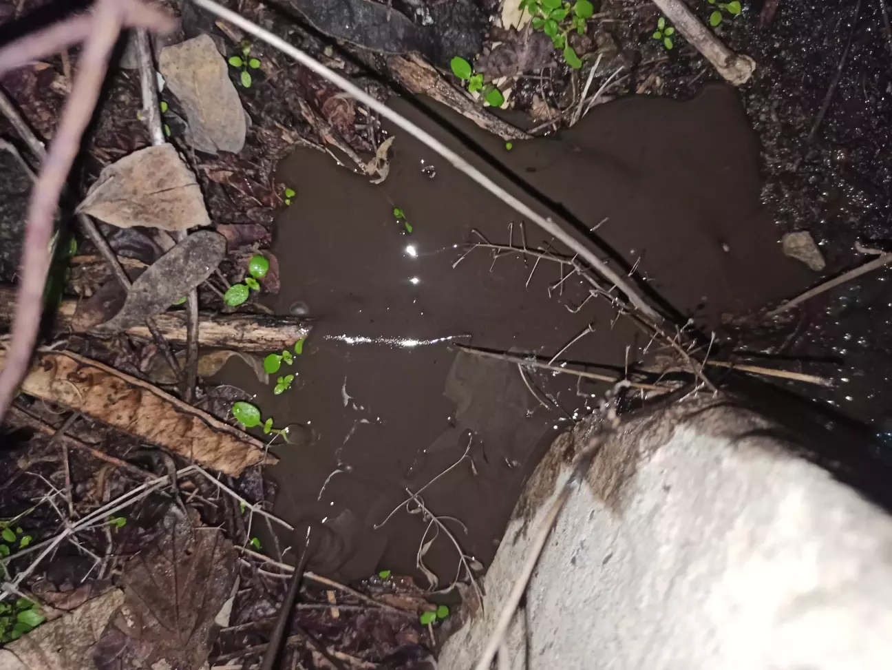 Вода в перемешку с чем то... Жижа неприятной консистенции.