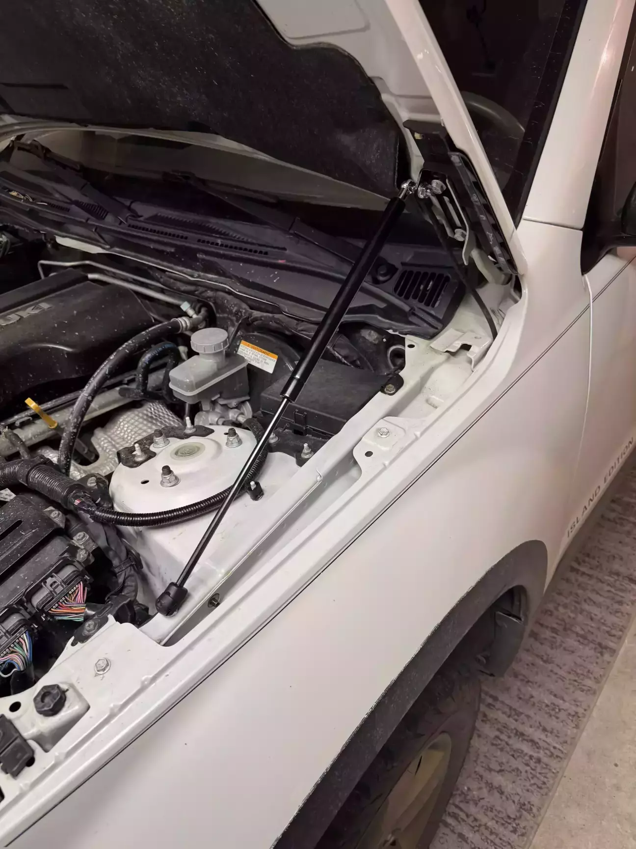 встановлений