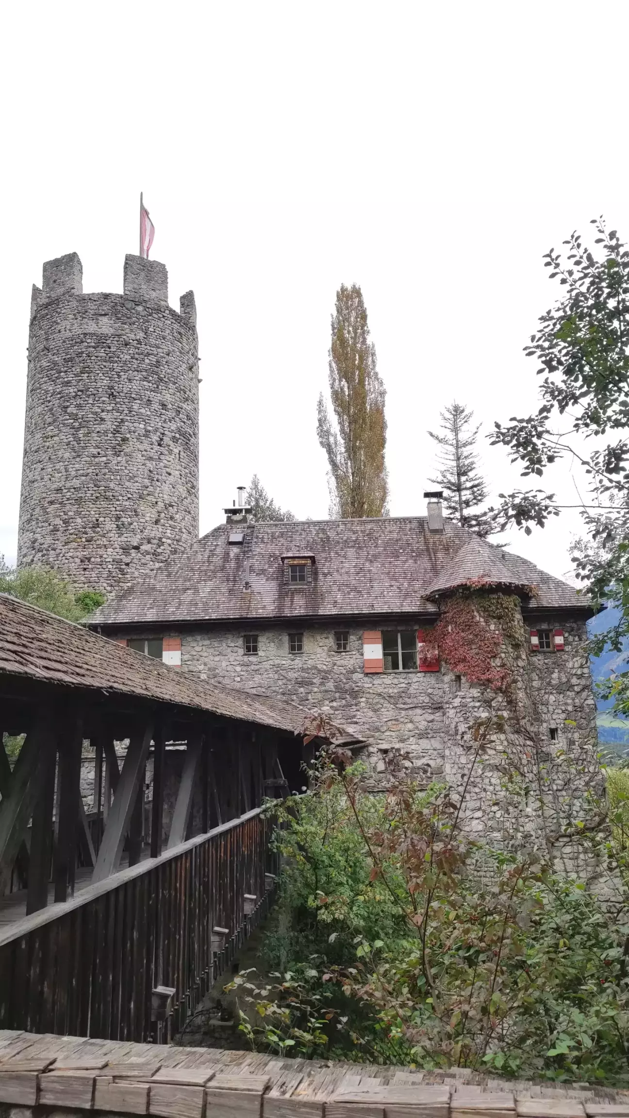 вид на замок з під'їзної дороги