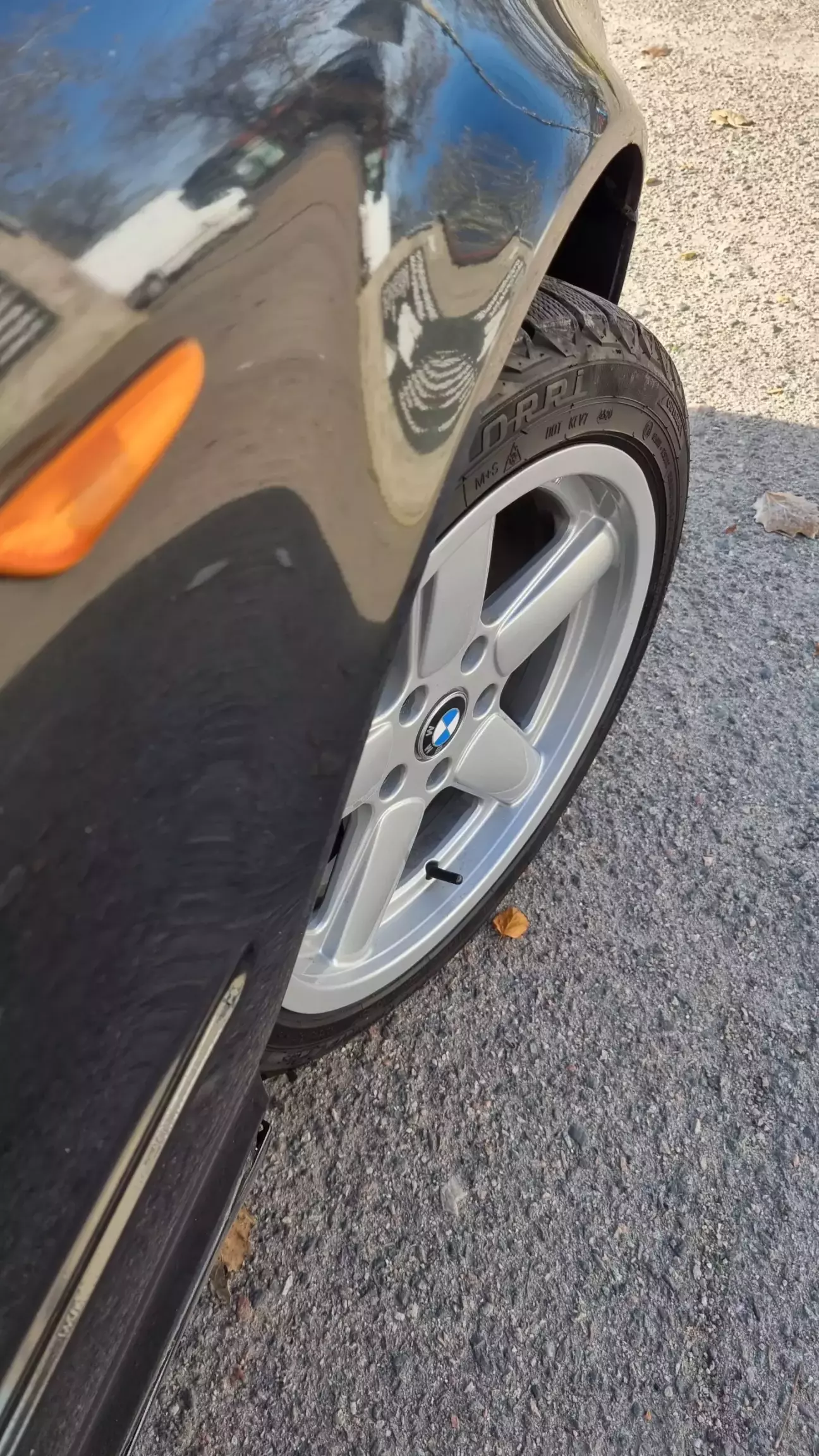 Примеорри досталась бесплатно....Летом будет нормальная резя)