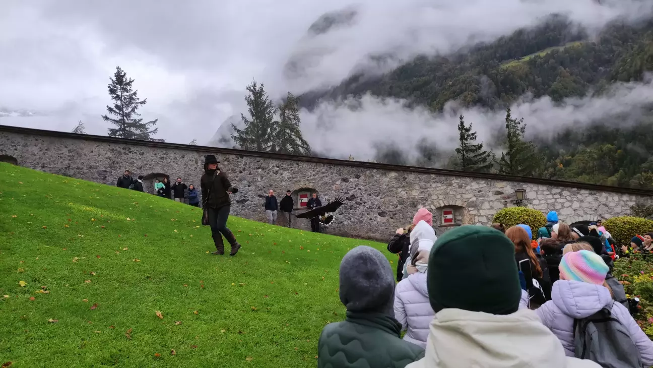 далі на полювання запросили орлів