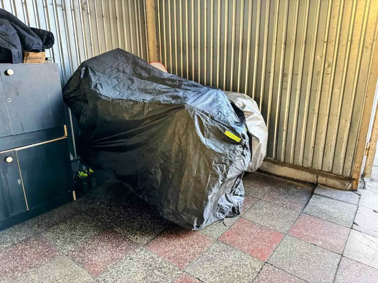 Зимует возле Кавы)