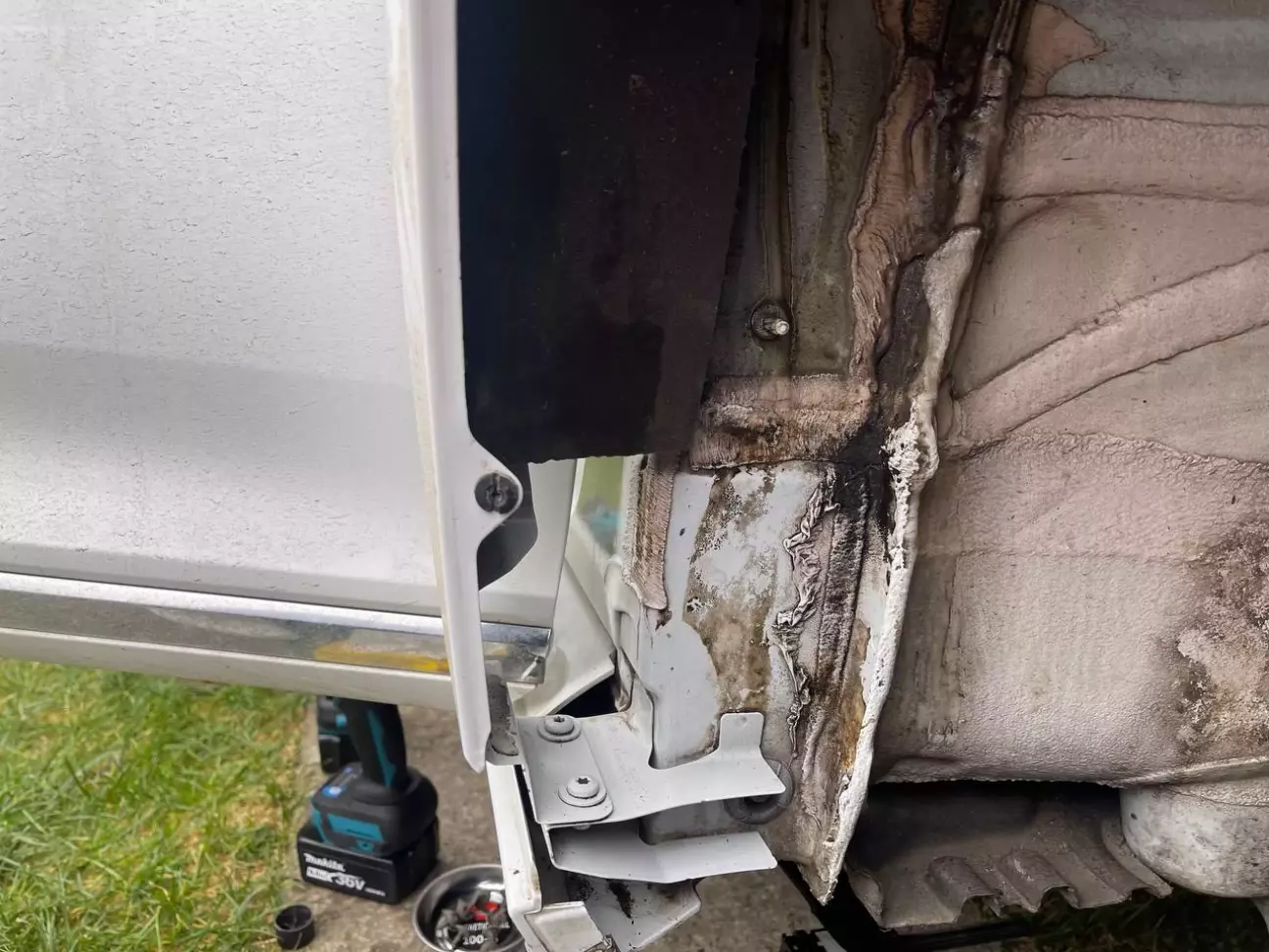 Більше нема причини чому крила внизу гниють