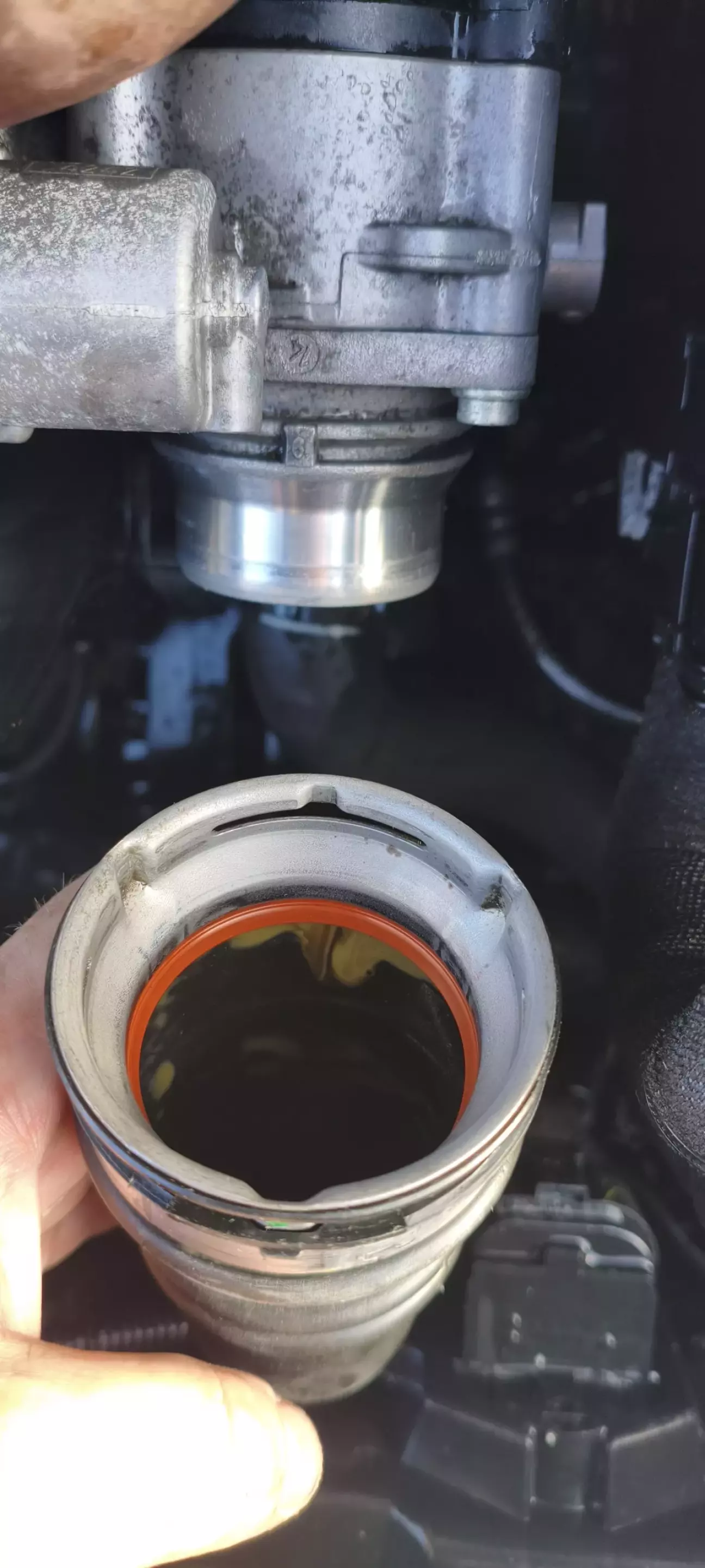 Стара манжета, якої всього рік. А вже все в маслі. Хоча манжета повністю м'яка та гнучка.