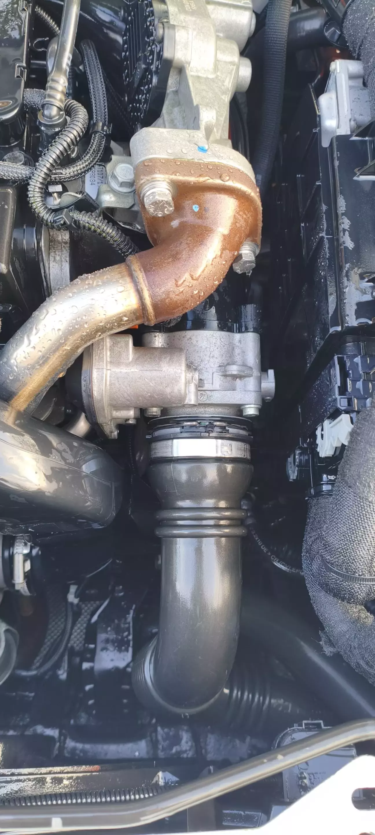 Замиваю всє від бруду