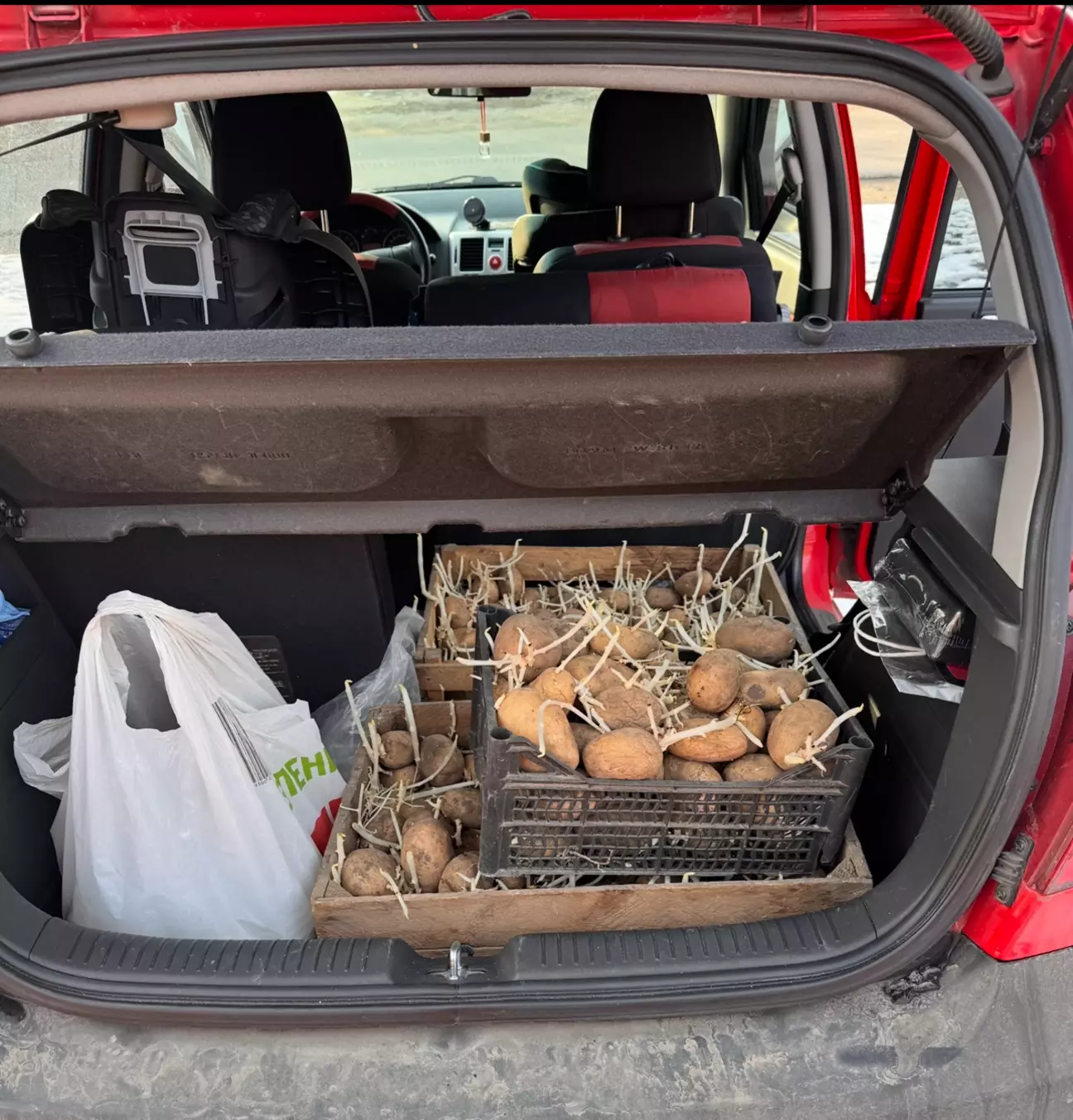 Треба перевезти декілька ящиків картоплі- будь ласка…