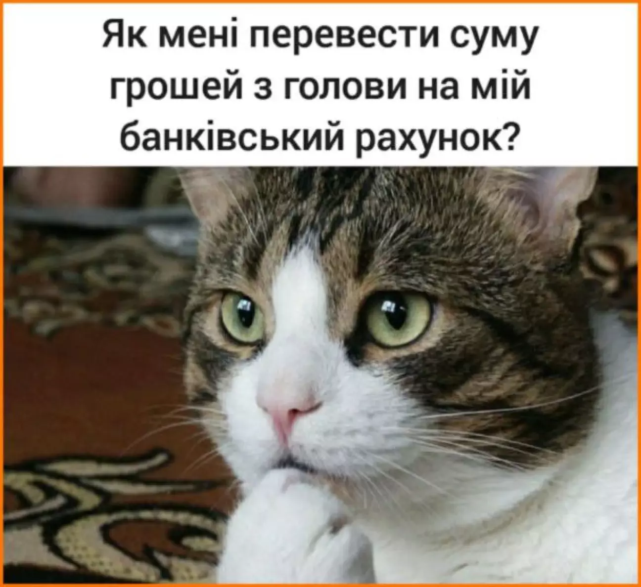 Думки власників AUDI