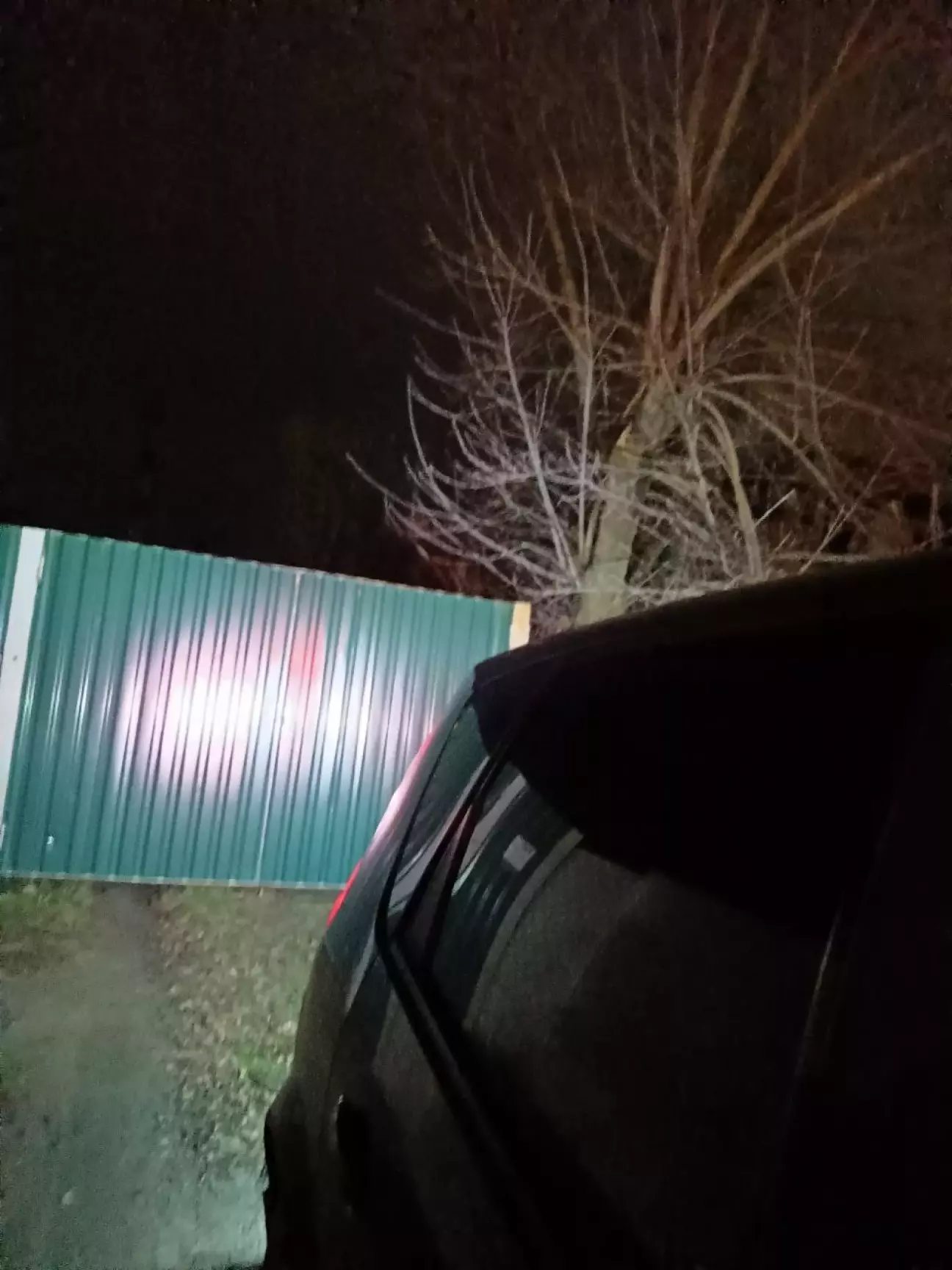 як світить в темноті