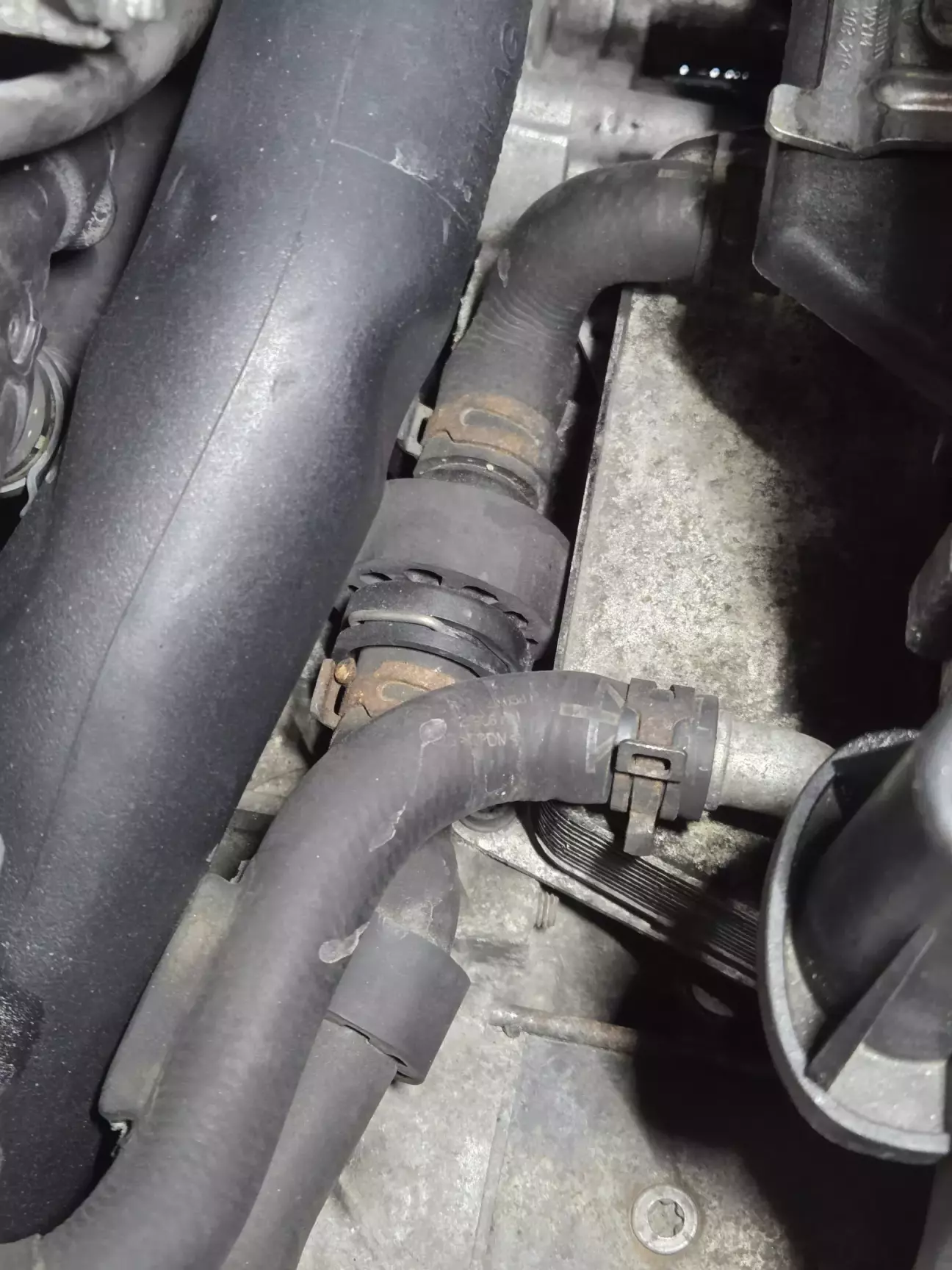 Осьо він. Лежить і на нас дивиться, падлюка. Працювать не хоче.