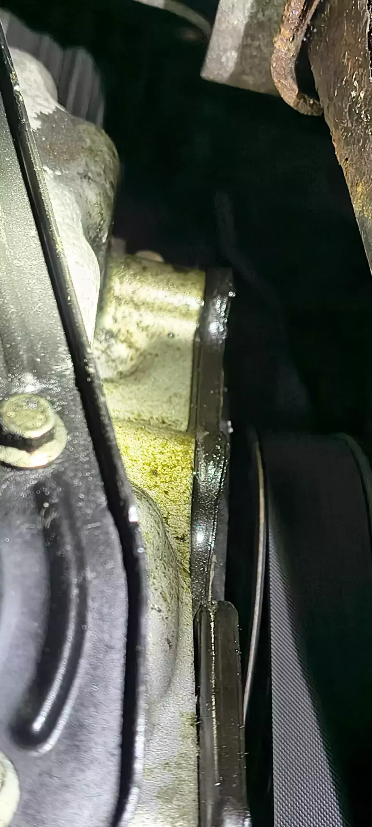 Є підтікання кришки ланцюгу. Замив очисником гальм. Спостерігаємо.