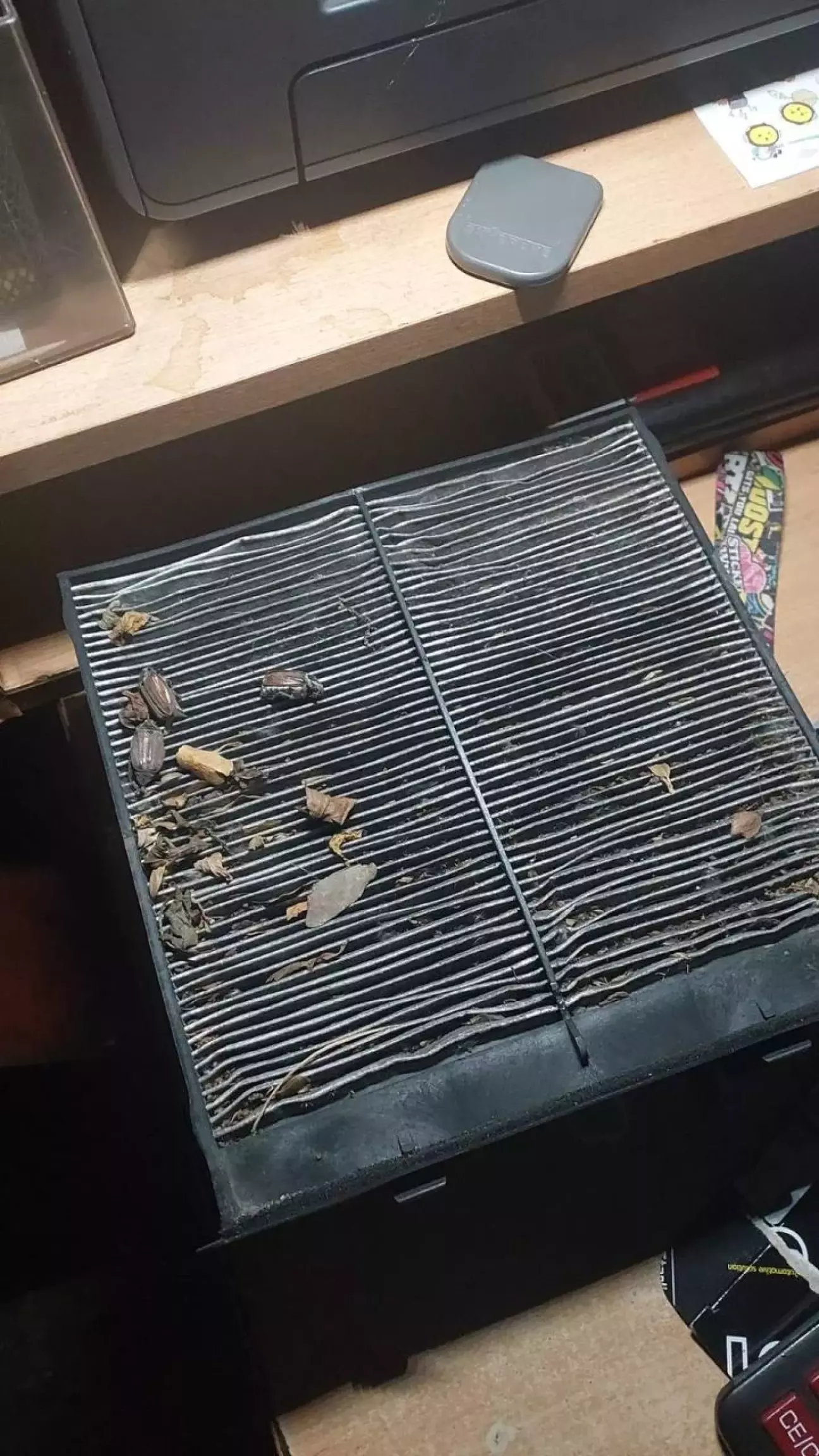 Хрущів за цей рік залишилось добре)