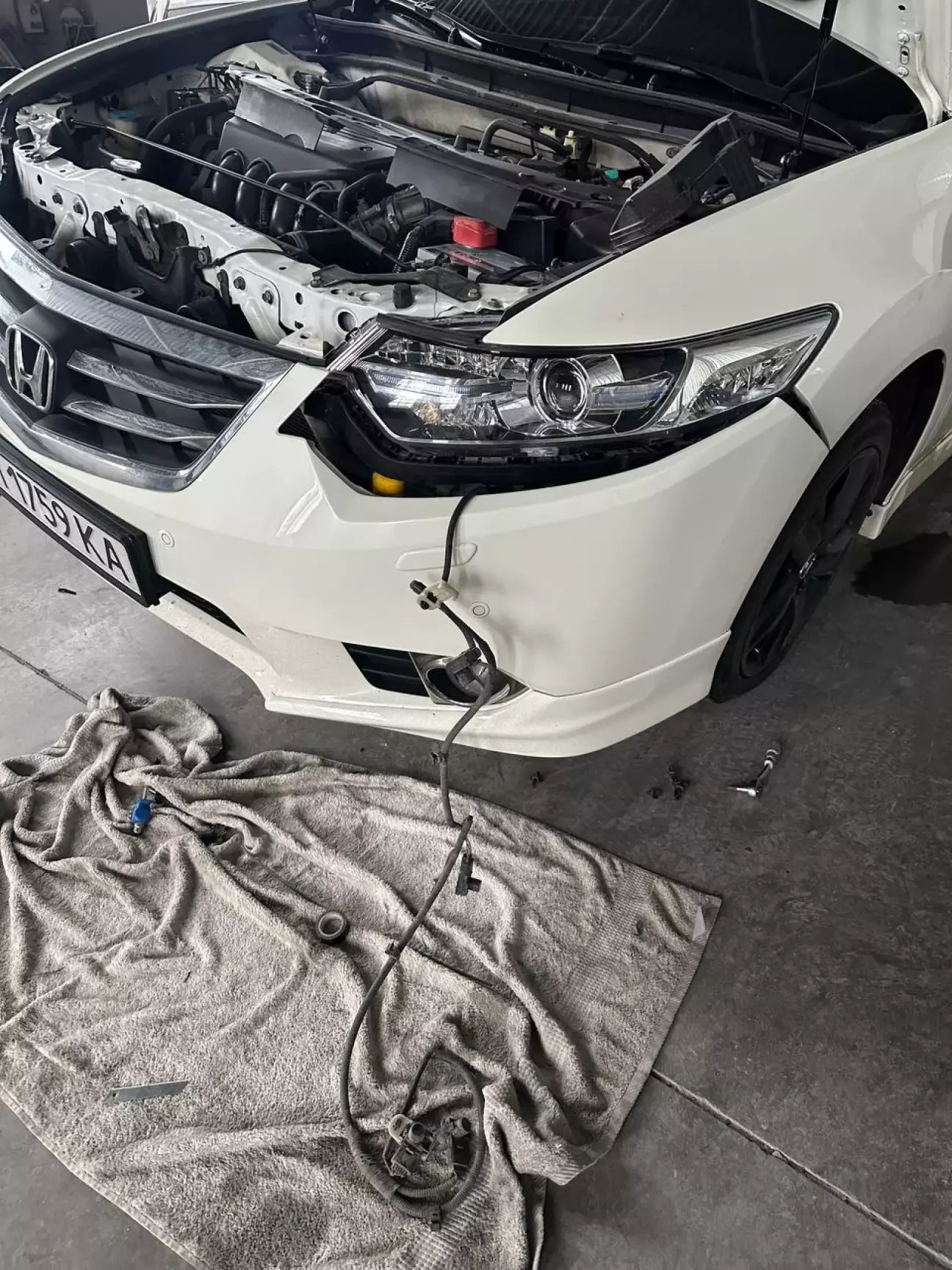 Граємось з парктрониками