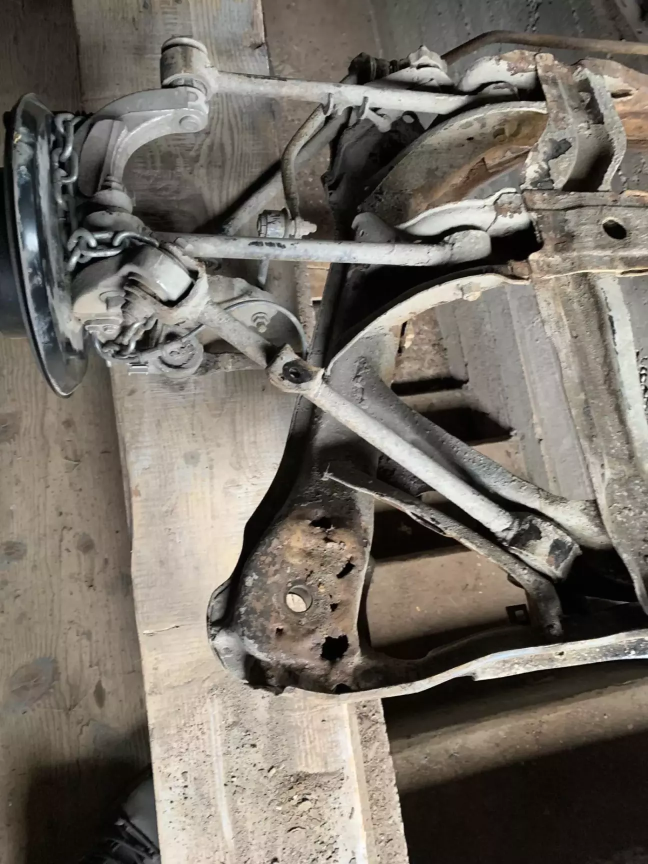 Тут видно як одне вухо вже з дирками...