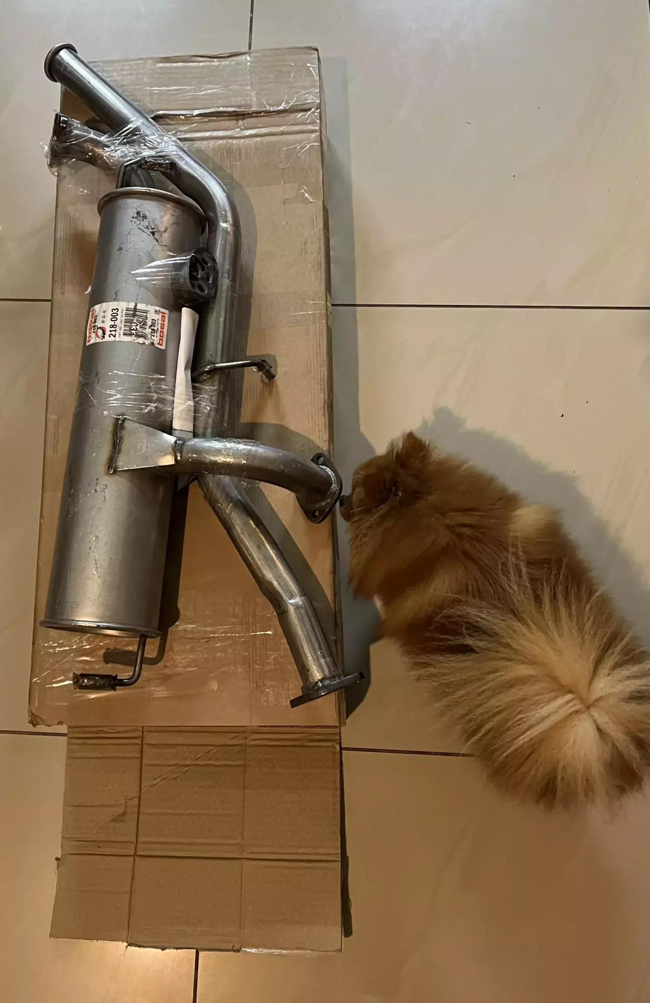 Обʼєктивний контроль пройдений ,якість задовільна :)