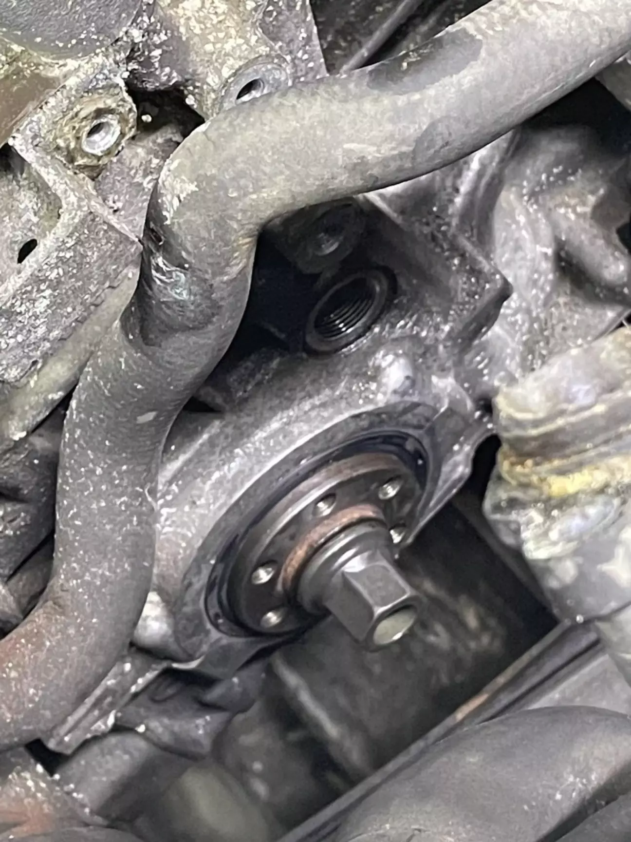 Сальник знову поставили новий!