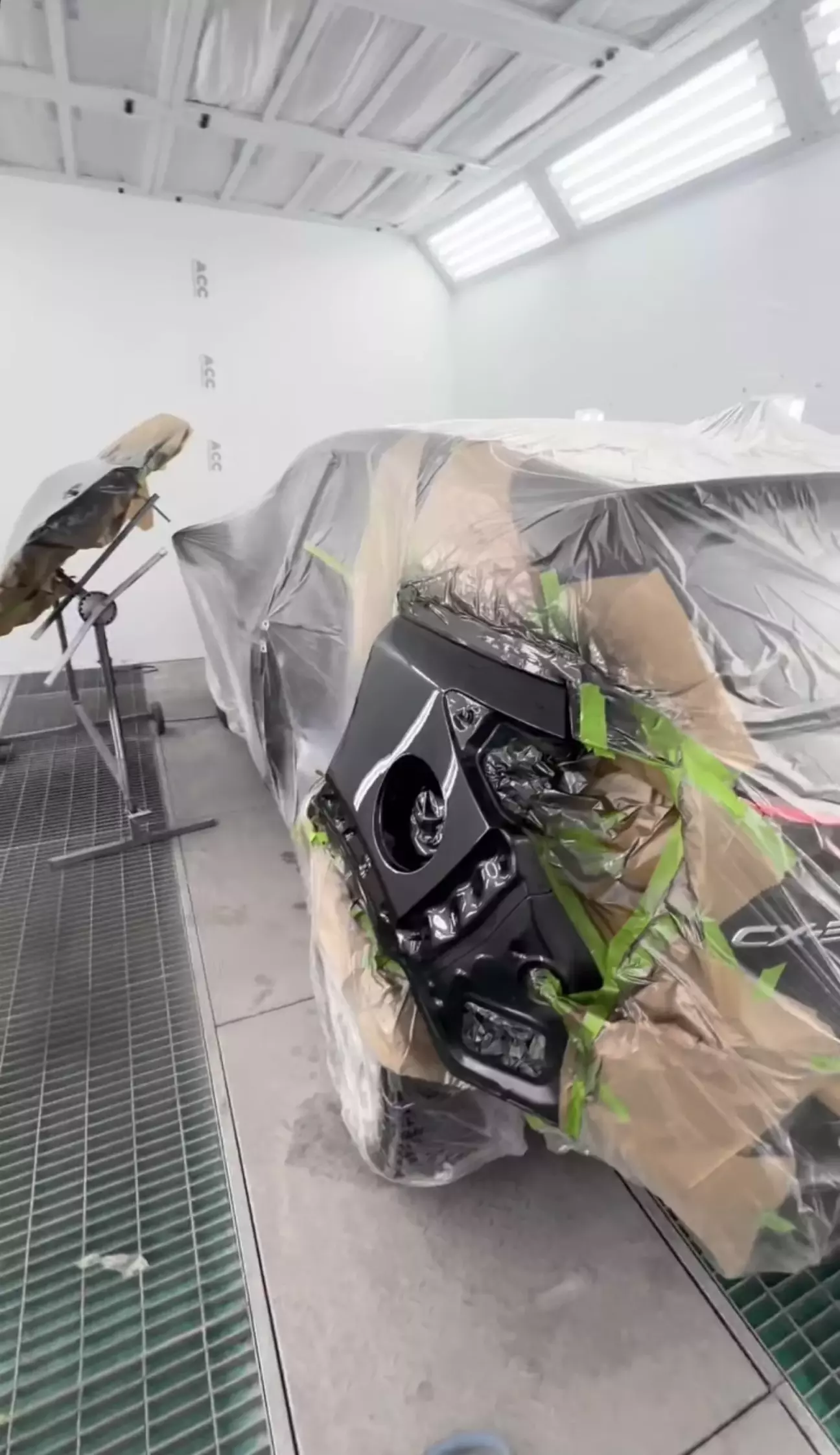 Фарбування крила.